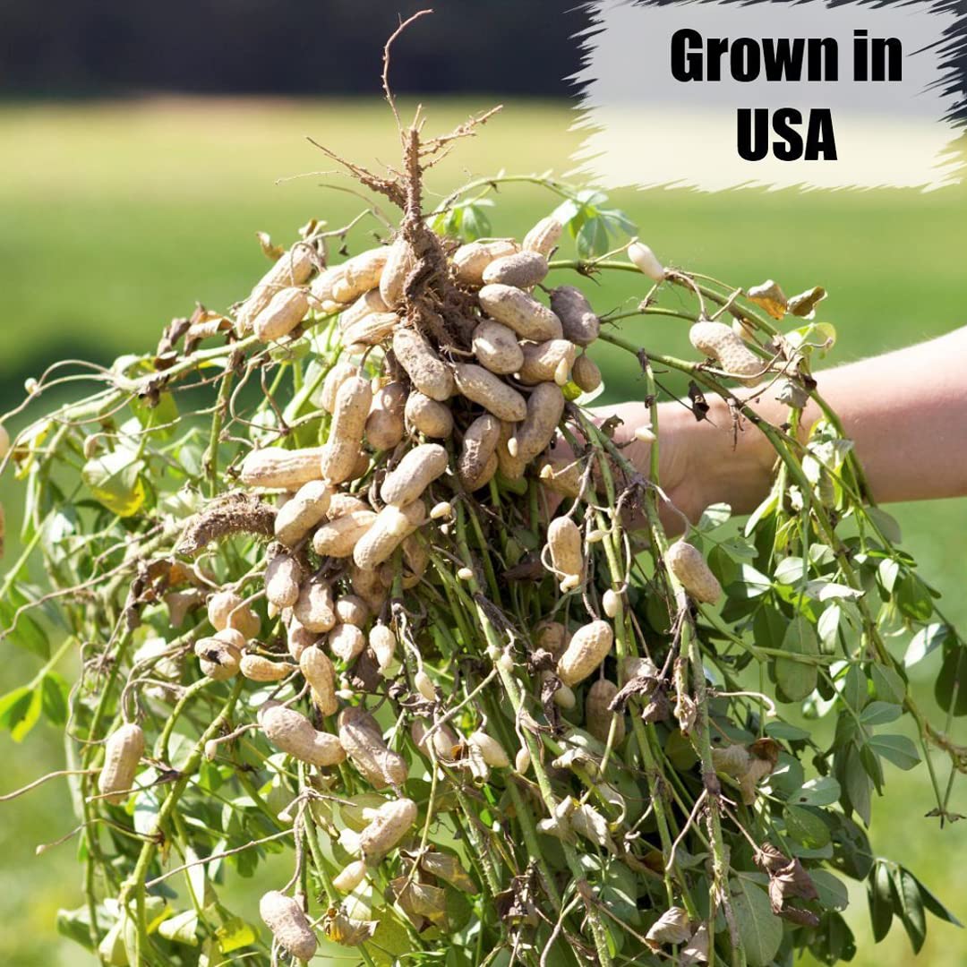 Wildlife in-Shell Peanuts, 25 lbs for Birds, Squirrels, and Wildlife. USA Grown Non-GMO, Organic Small Farm, Raw in-Shell Peanuts. Wildlife Grade, 25 lbs.