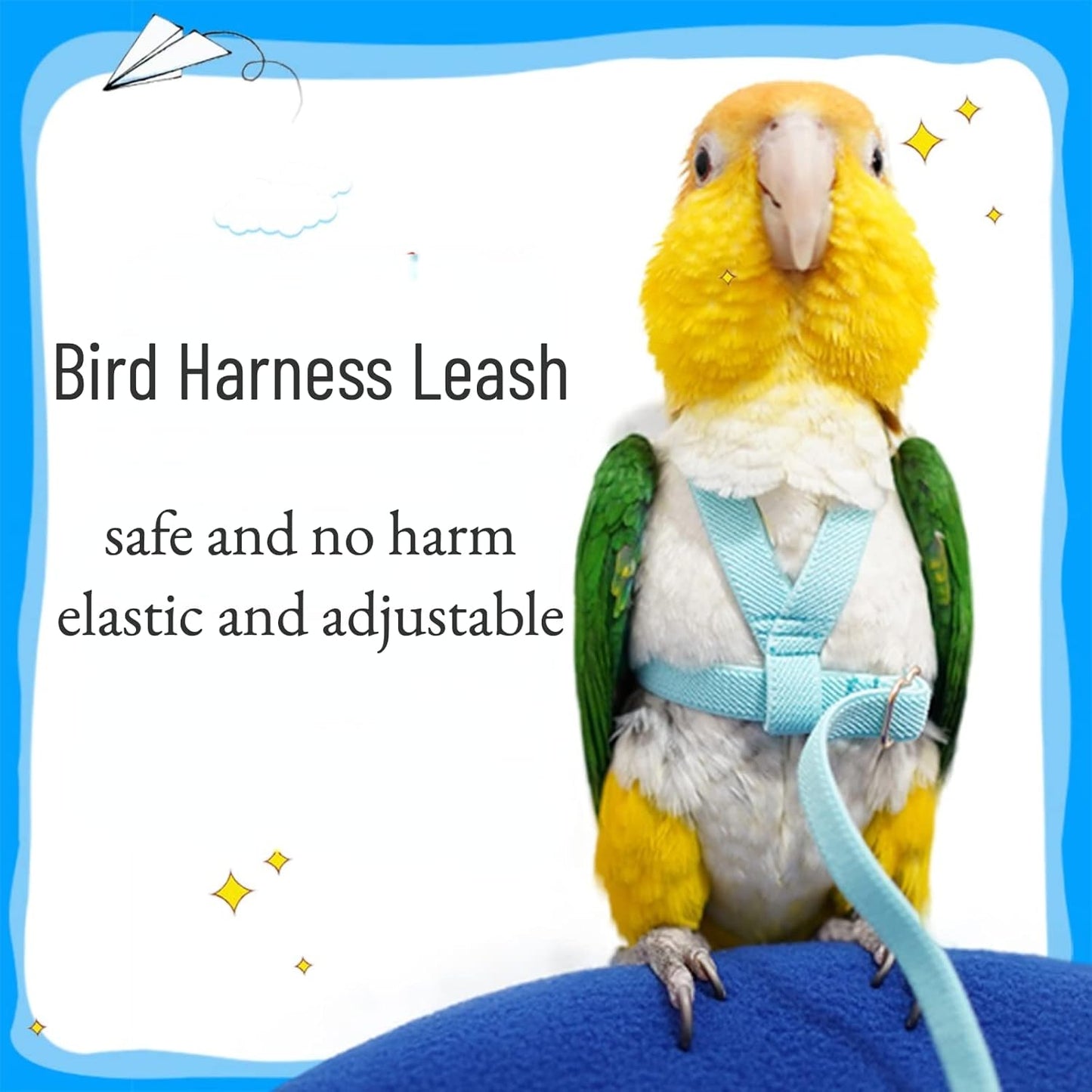 Pet Parrot Bird Harness Leash Adjustable Bird Flying Harness Traction Rope with Cute Wing for Parrots Pigeons Budgerigar Lovebird Cockatiel Mynah Outdoor Training Toy (M, Blue)
