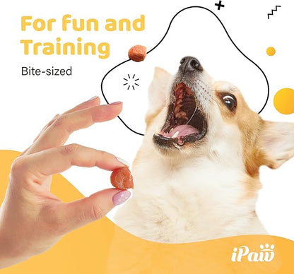 iPaw Chicken Tots Dog Treats for Puppy Training, All Natural Human Grade Dog Treat, Hypoallergenic, Easy to Digest (Chicken Tots)