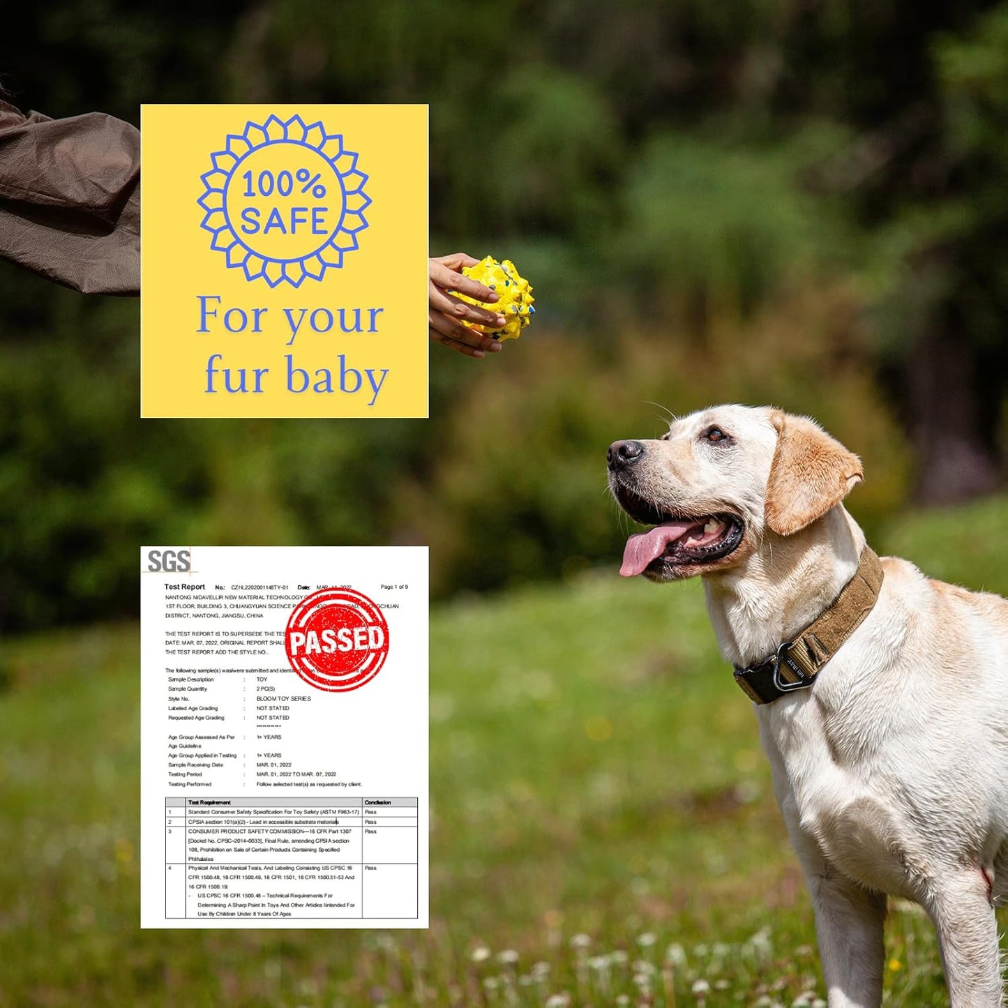 Durable Interactive Dog Toys for Aggressive Chewers,Puppy Teething Toys,Floating Fetch Balls,Bouncing Chew Balls,Tennis Balls for Dogs (2 Balls)