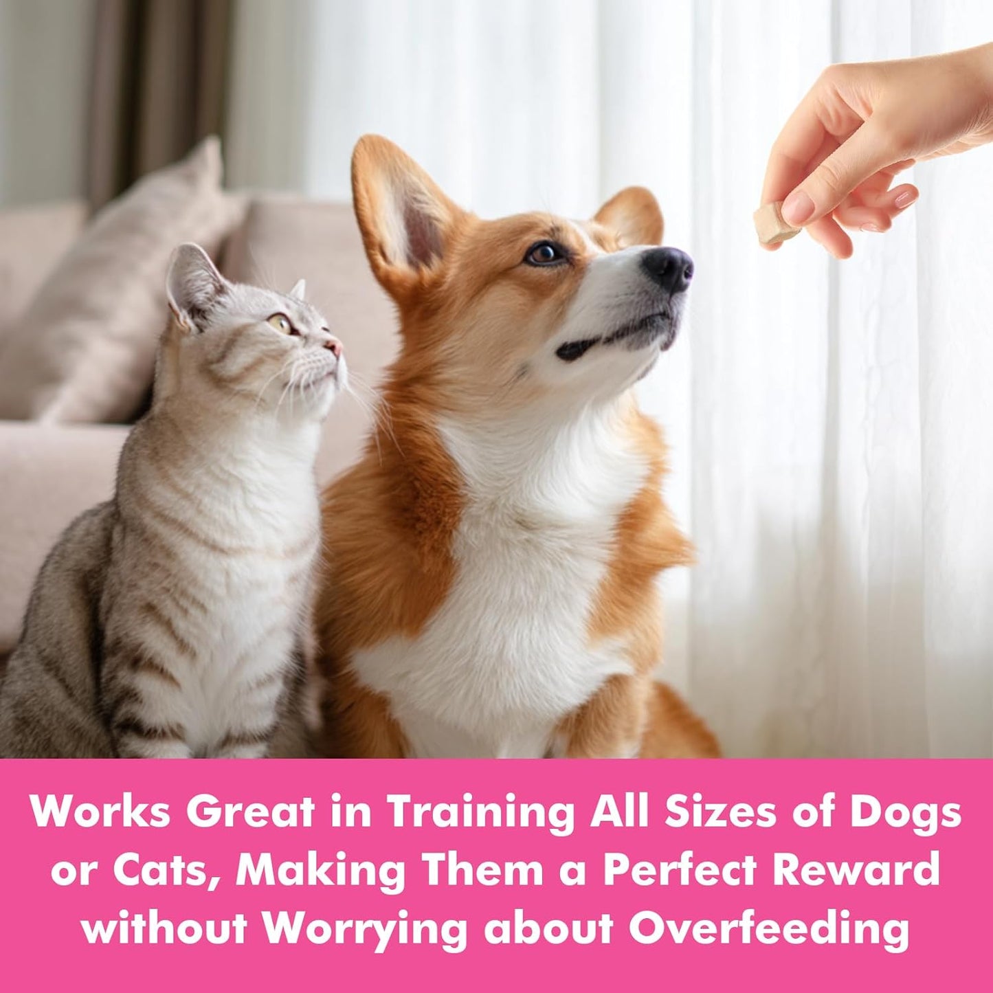 Freeze Dried Cats & Dogs Raw Treats, All Natural Single Ingredient Duck Breast, High Protein Healthy Pet Training Treats or Food Topper, 9.9 oz