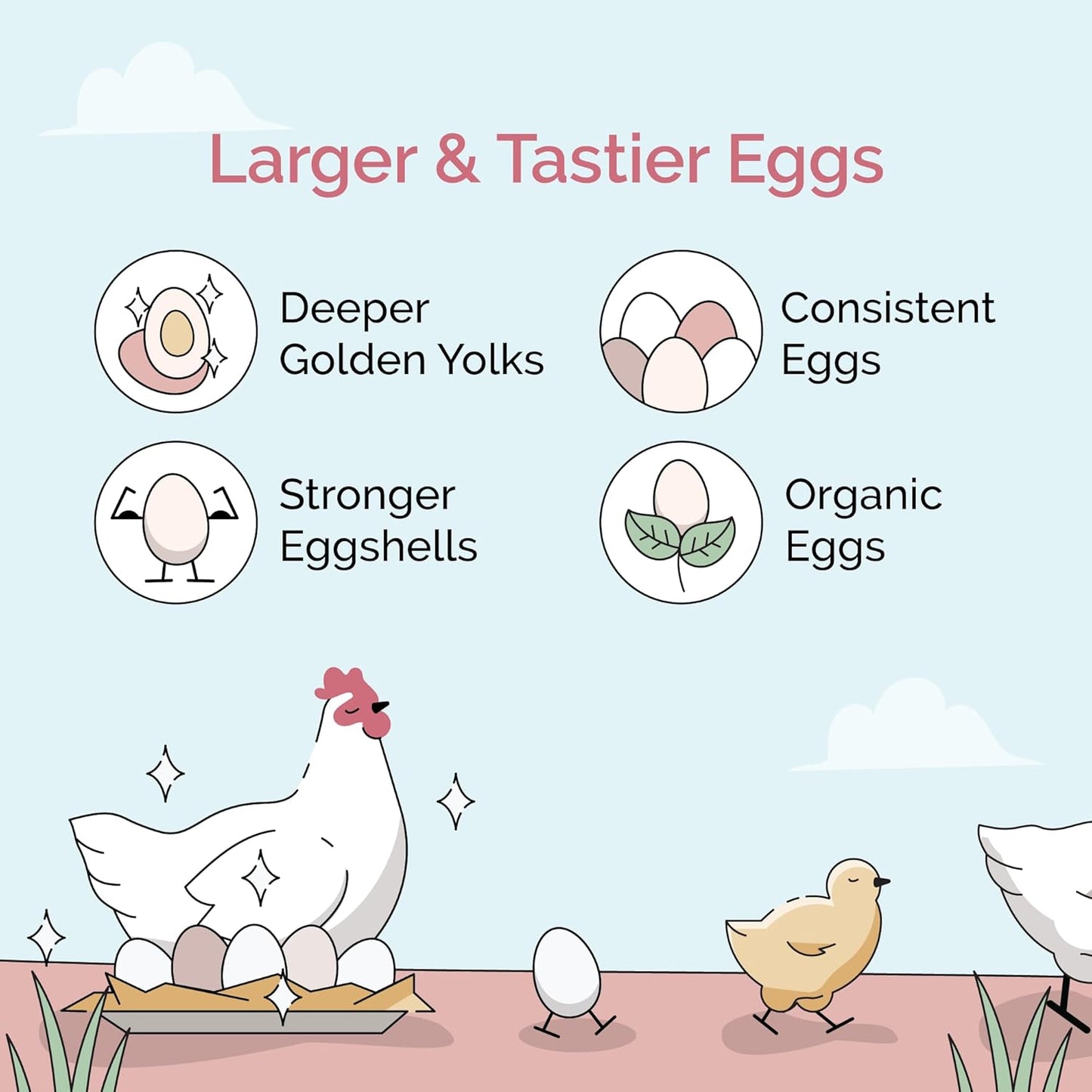 Organic Chicken Feed – Layer Mash, Non-GMO, USA Grown, 16% Protein, Corn-Free, Soy-Free, Non-Medicated Feed for Chickens, 23 lbs