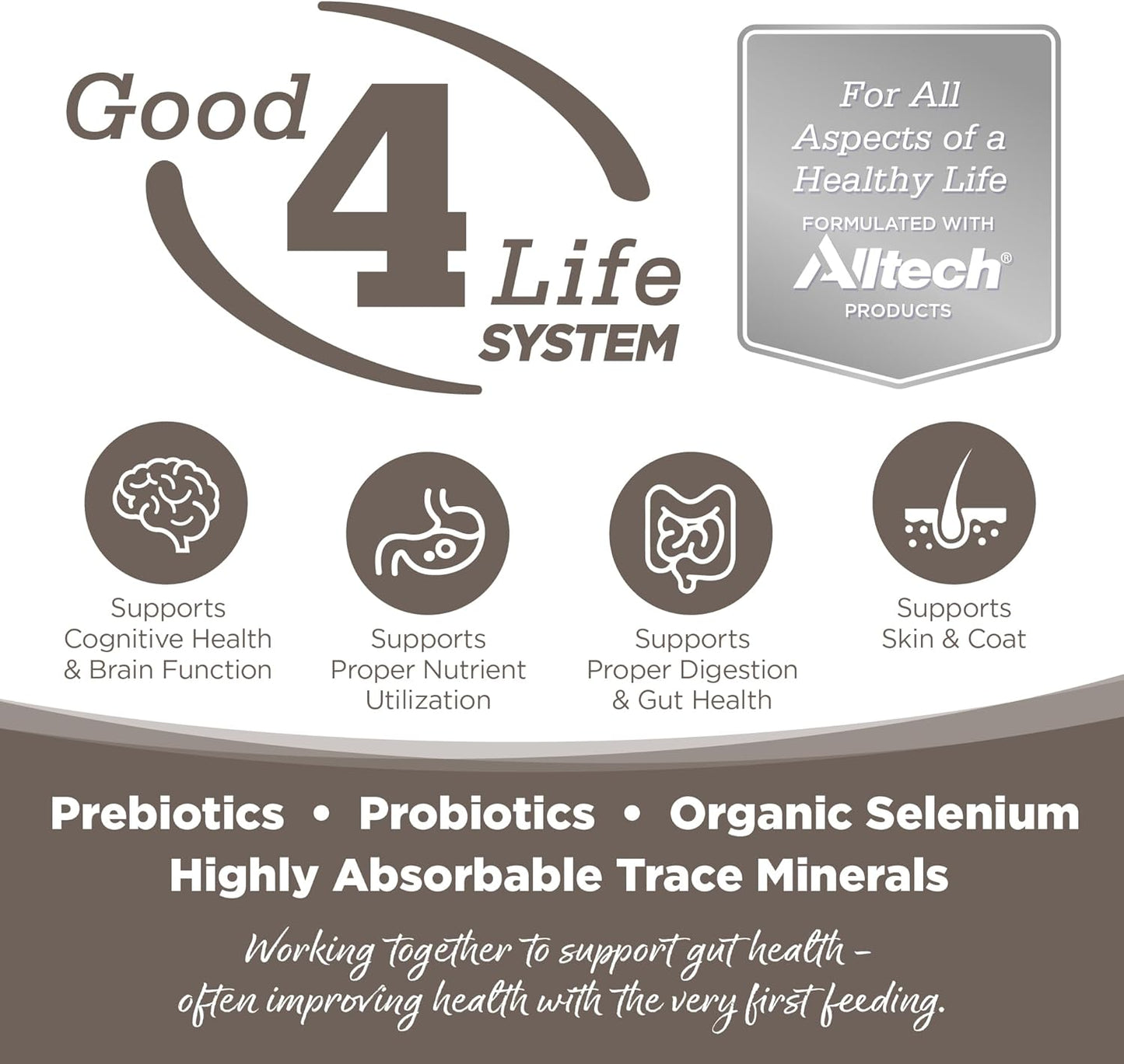 NutriSource Dry Dog Food for Seniors, Chicken and Rice, 12LB