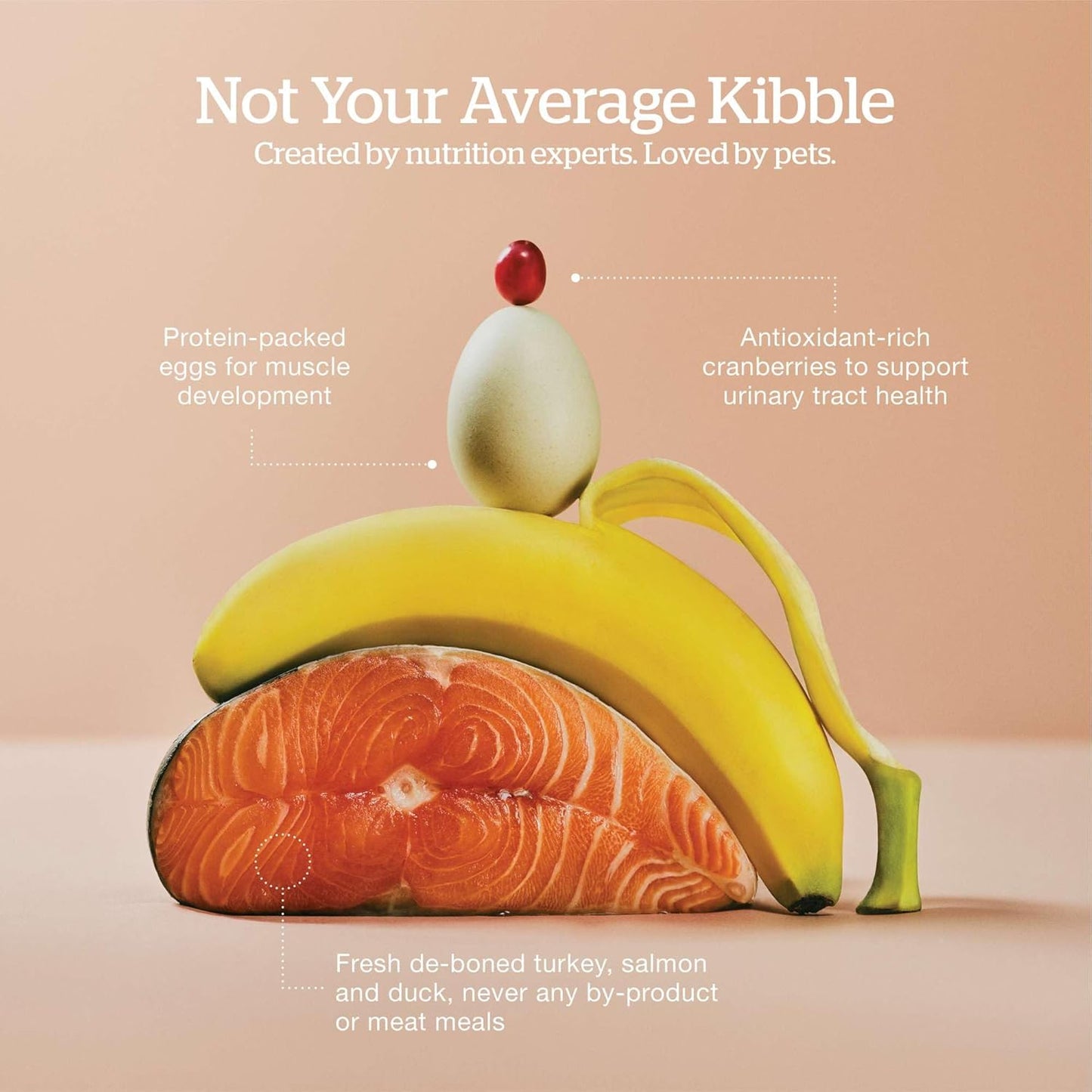 Now Fresh Grain-Free Dry Cat Food with Turkey, Salmon & Duck, Healthy Kibble for Adults Made with Real Meat & Fish, Chicken-Free, with Pumpkin & Probiotics for Sensitive Stomachs, 16 lb Bag