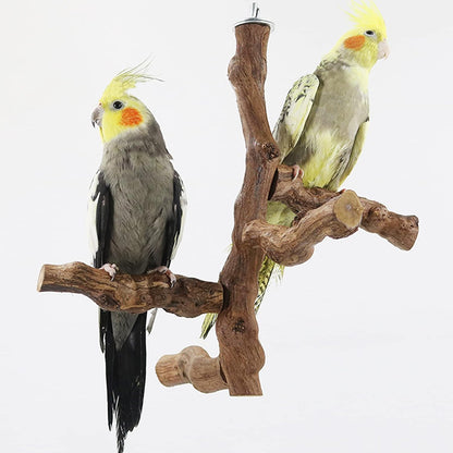 Allazone 6 PCS Bird Perch Natural with Chewing Toys Natural Grapevine Bird Stand Grape Stick Natural Bird Parrot Perch Standfor Parrots, Parakeets Cockatiels, Conures, Macaws, Love Birds