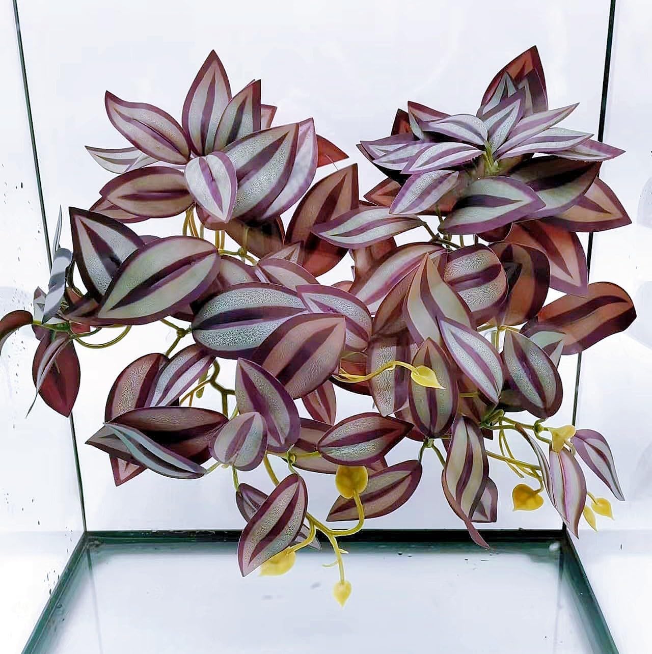 Reptile Plants for Terrarium, Amphibian Habitat Decor Artificial Hanging Plants with Suction Cup, Artificial Plants for Gecko Chameleon Snake Tortoise Tank Accessories. 2-Pack (Zebrina)