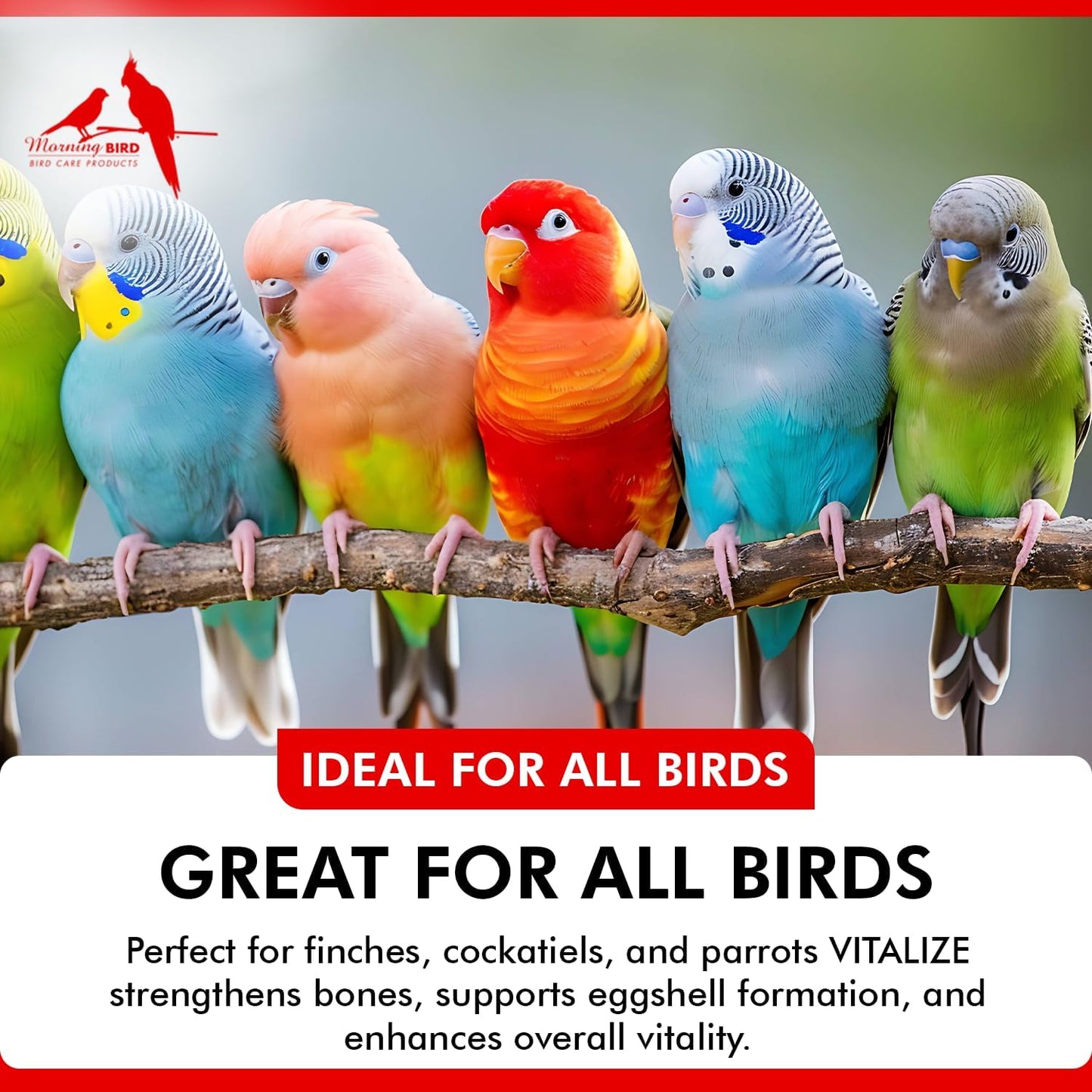 Morning Bird Vitalize, Supplement for Sick, Injured, or Stressed Caged Birds; Dehydration and Exhaustion Treatment for Parakeets, Cockatiels, Budgies, Finches, Canaries, and Parrots, 1 oz