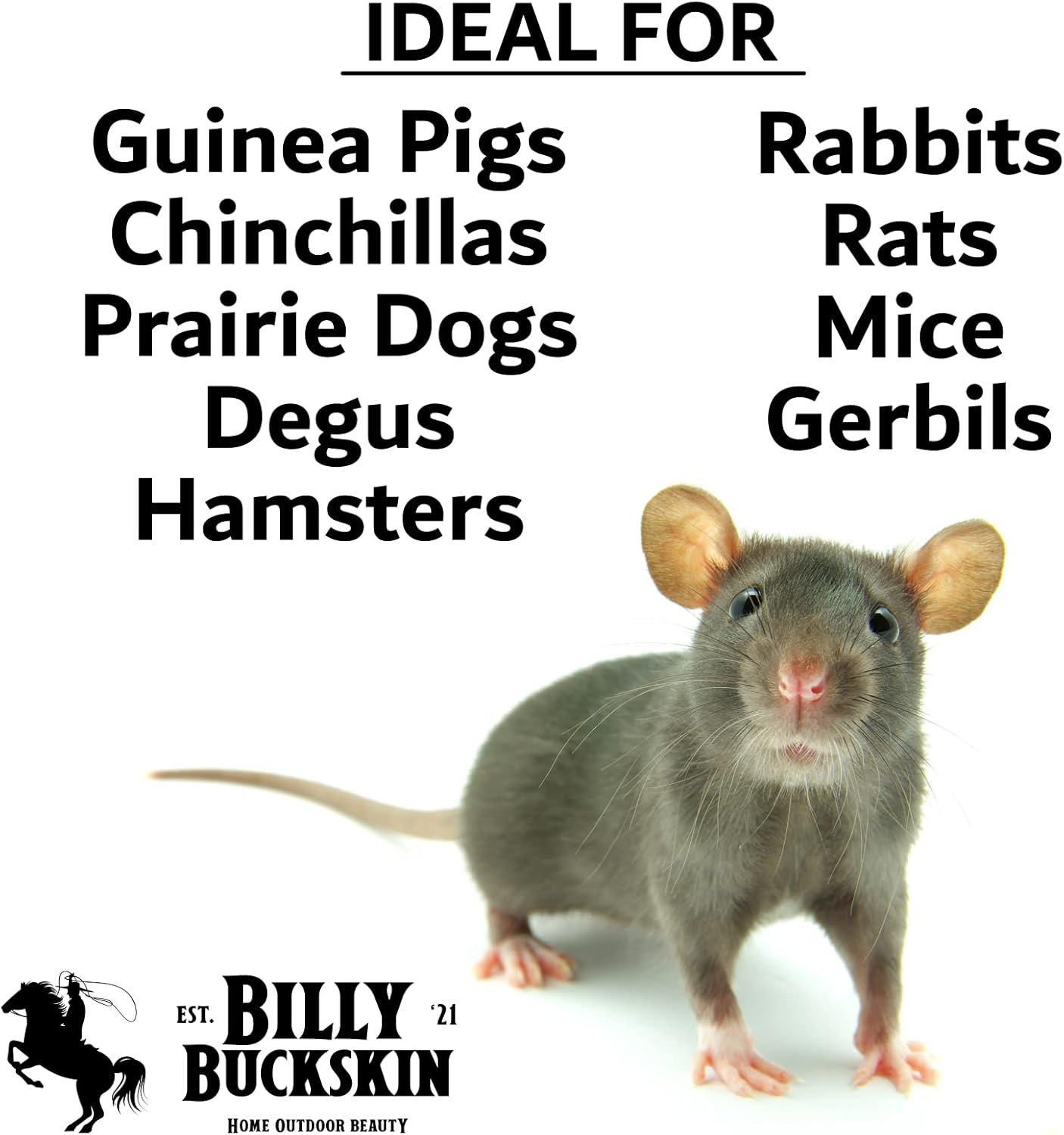 Chinchilla Chew Toys, Pumice Chew Blocks, Lava Block for Hamster, Rat, Mice, Degus, Gerbils, Small Animal Toys, Guinea Pigs, Rabbit Toy, Bunny Toy by Billy Buckskin (Pack of 6)Mined in USA