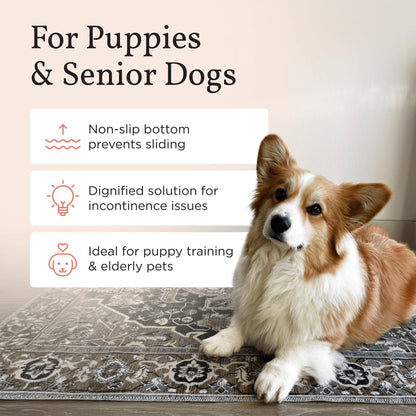 LOVEWAG Washable Dog Pee Pads, 24" x 16", Waterproof, Non-Slip, Super Absorbent, Reusable Machine-Washable, 2-Pack (Silvered Blue)