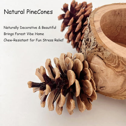 Bird Perch with Safe Bowl Wood & Pinecones - Bird Toys Chew Toys 100% Natural & Durable for Cockatiel, Conure, Budgie, Lovebird, Parakeet - Birdcage Accessory for Foraging & Oral Health