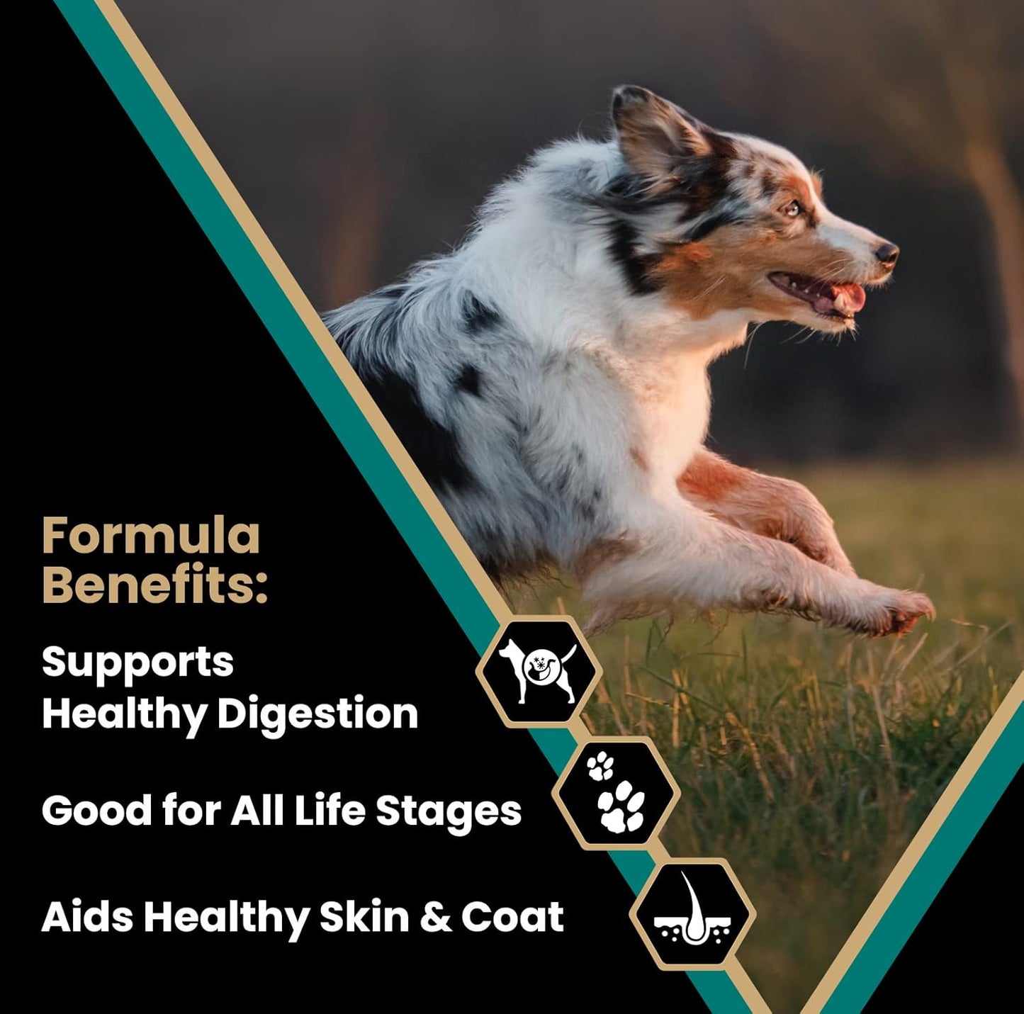 VICTOR Super Premium Dog Food – Select Ocean Fish Formula with Salmon – Omega-3 and Omega-6 Enriched Gluten-Free Dry Kibble for All Normally Active Dogs of All Life Stages, 40lbs