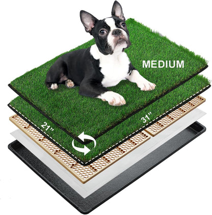 MEEXPAWS Dog Grass Pee Pads for Dogs with Tray | Medium 31×21 in | 2× Dog Artificial Grass Pads Replacement| Rapid Drainage | Indoor Litter Box | Hemmed Edge