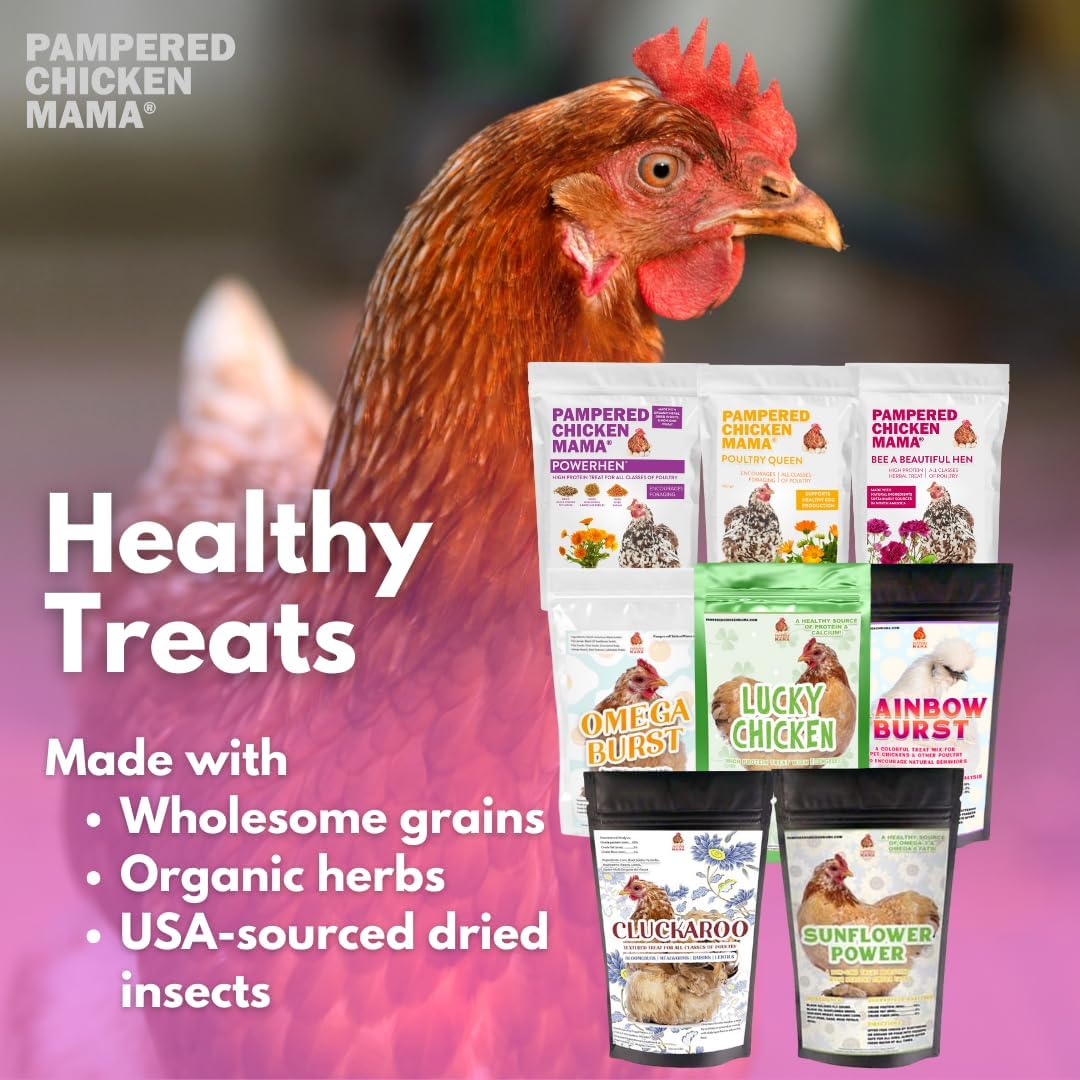 Pampered Chicken Mama Chicken Treat for Hens 8 Pounds Sampler Bundle: 8 Different Treats in One Box! - Grubs, Dried Mealworms, Cracked Corn, Oyster Shell, & Duck Feed