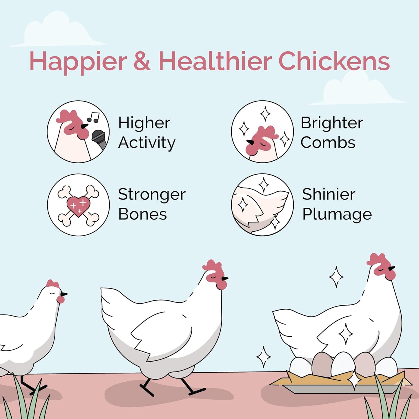 Organic Chicken Feed – Layer Whole Grain, Non-GMO, USA Grown, 16% Protein, Corn-Free, Soy-Free, Non-Medicated Feed for Chickens, 46 lbs