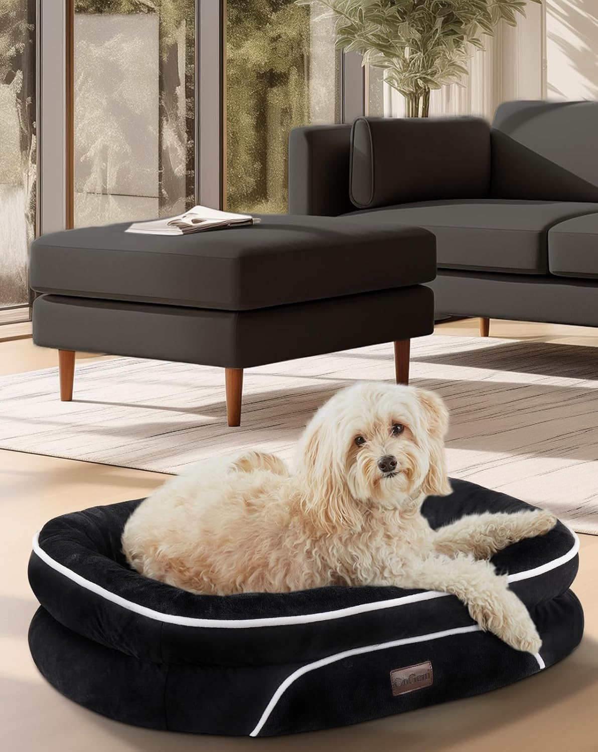 OhGeni Orthopedic Dog Couch Pet Sofa Medium Sized Cat Beds with Comfort Foam Support, Soft Comfortable Fabric, Machine Washable Waterproof Removable Cover, 28-Inch (Black)