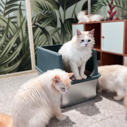 LIHONG Stainless Steel Litter Box with Lid, XL Metal Cat Box for Indoor Cats, Enclosure Cat Litter Pan for Large Cats, Non-Sticky Large Kitty Litter Box, Anti-Leakage, 23.5" X 15.5" X 16"