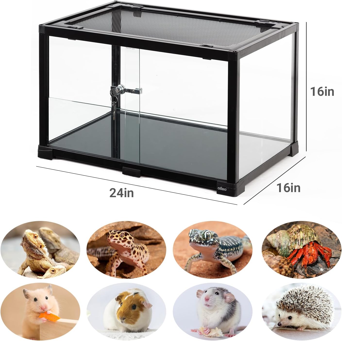 OiiBO Reptile Tank Terrarium 24" x 16" x 16", 2 in 1 Reptile Habitat Terrarium with Front Sliding Doors Screen Ventilation for Lizard Gecko Tortoise