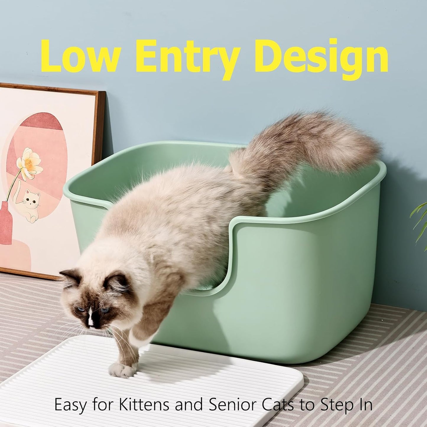 SpaceTime Extra Large Litter Box with High Sides,XL Low Entry Multi Cat Litter Pan for Kittens,Jumbo Litter Boxes for Big Cats,Anti-Splashing Cat Boxes for Indoor Cats,Easy to Clean (Light Green)