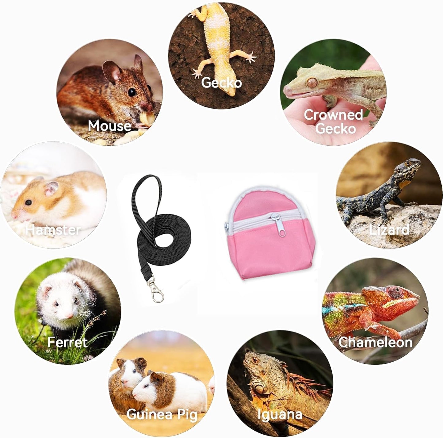 Leopard Gecko Backpack Carrier,Reptile Portable Backpack Carrier with Small Backpack Harness Leash Set,Space Capsule Clear Bubble Window Travel Backpack for Lizard Travel,Guinea Pig,Rabbit