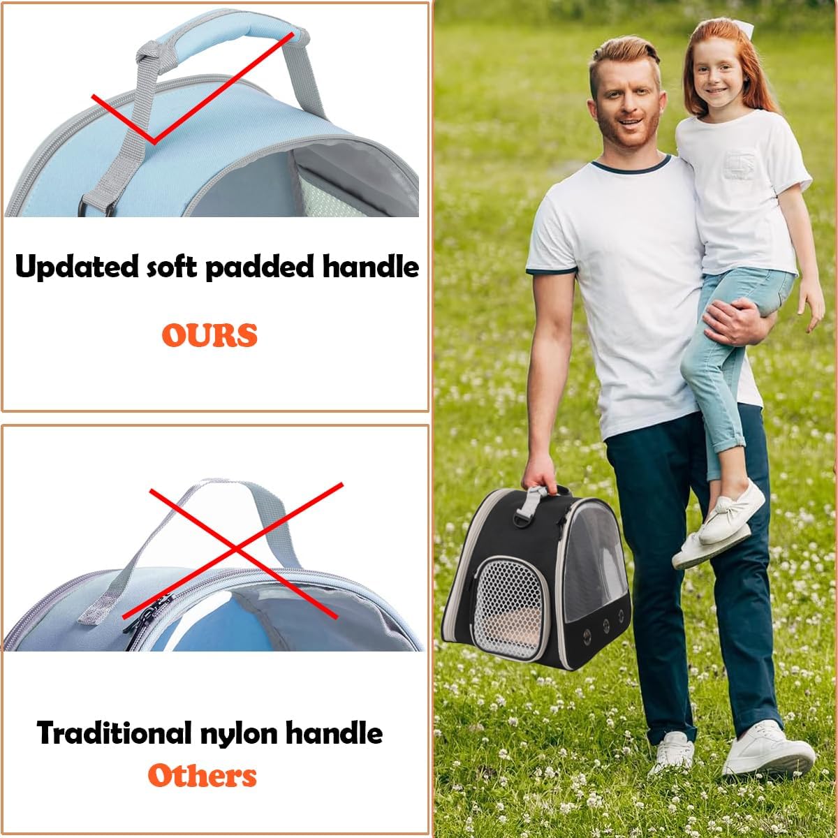 Ventilation Carrier for Bearded Dragons, Guinea Pigs, Reptiles & Small Pets - Airline Approved Mesh Carrier (Blue)