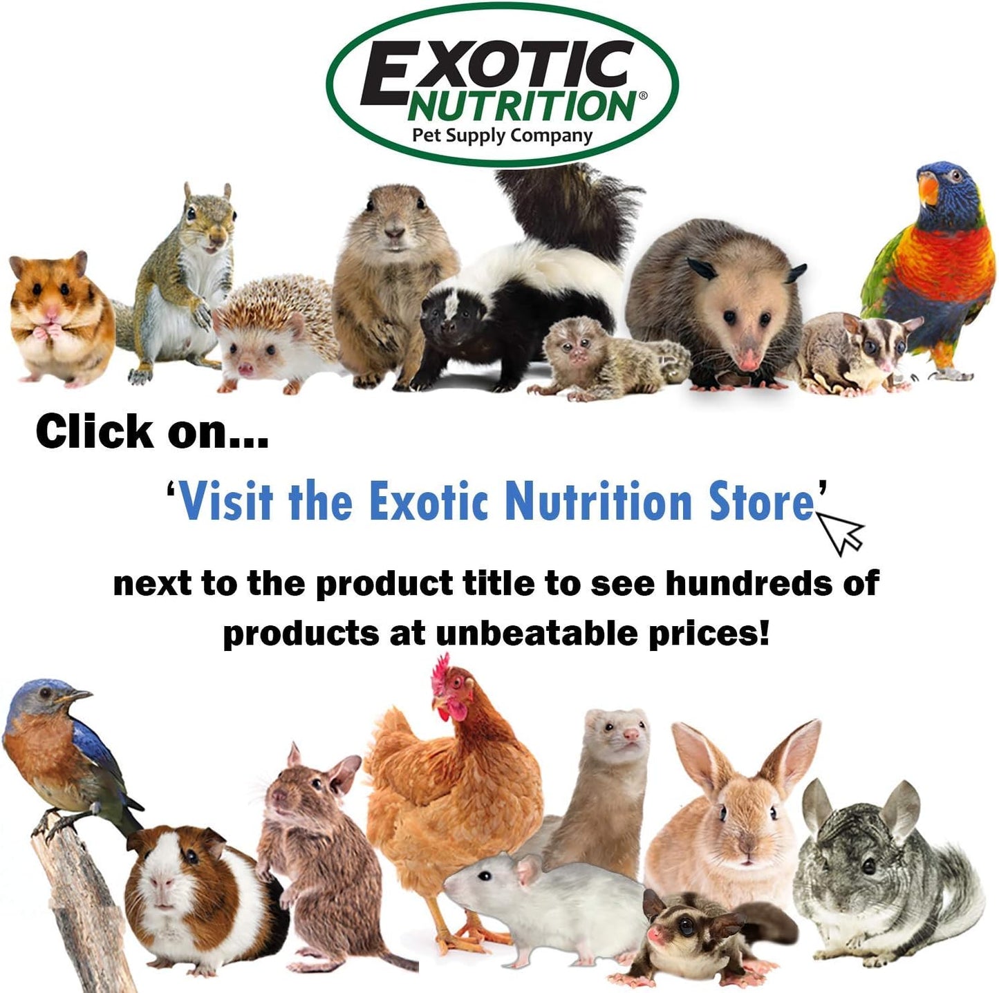Exotic Nutrition Degu Diet (2.5lb) - Nutritionally Complete Healthy Pellet Diet with Whole Oats - for Domesticated Pet Degus