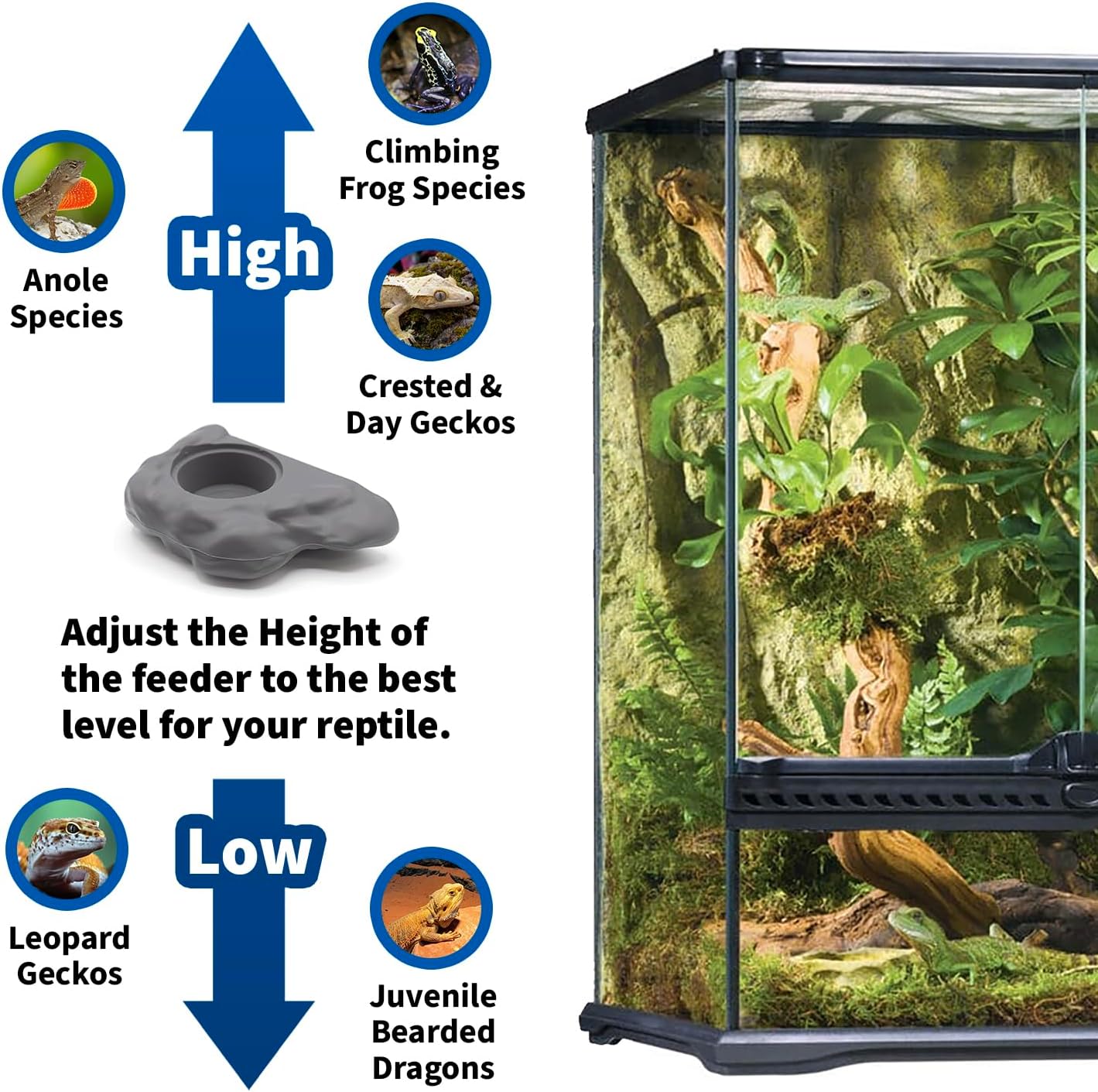 Pangea Silicone Gecko Feeding Ledge - Magnetic Mini Food Dish for Reptile Tank - 4.125" x 2.625" x 1.18" - Fits 0.5oz Cups (Gray)