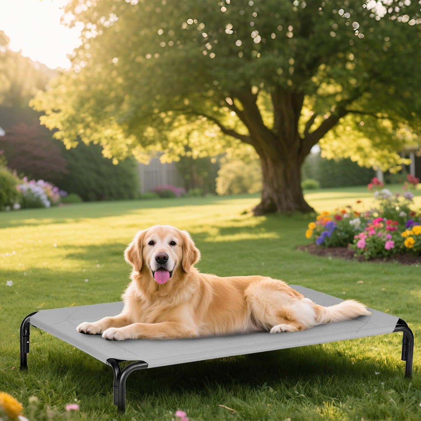 Elevated Dog Bed for Outdoor, Medium Raised Dogs Cot for Training, Cooling Pet Beds with Washable Mesh, Indestructible Lifted Platform for Outside Camping, 35 inch Grey