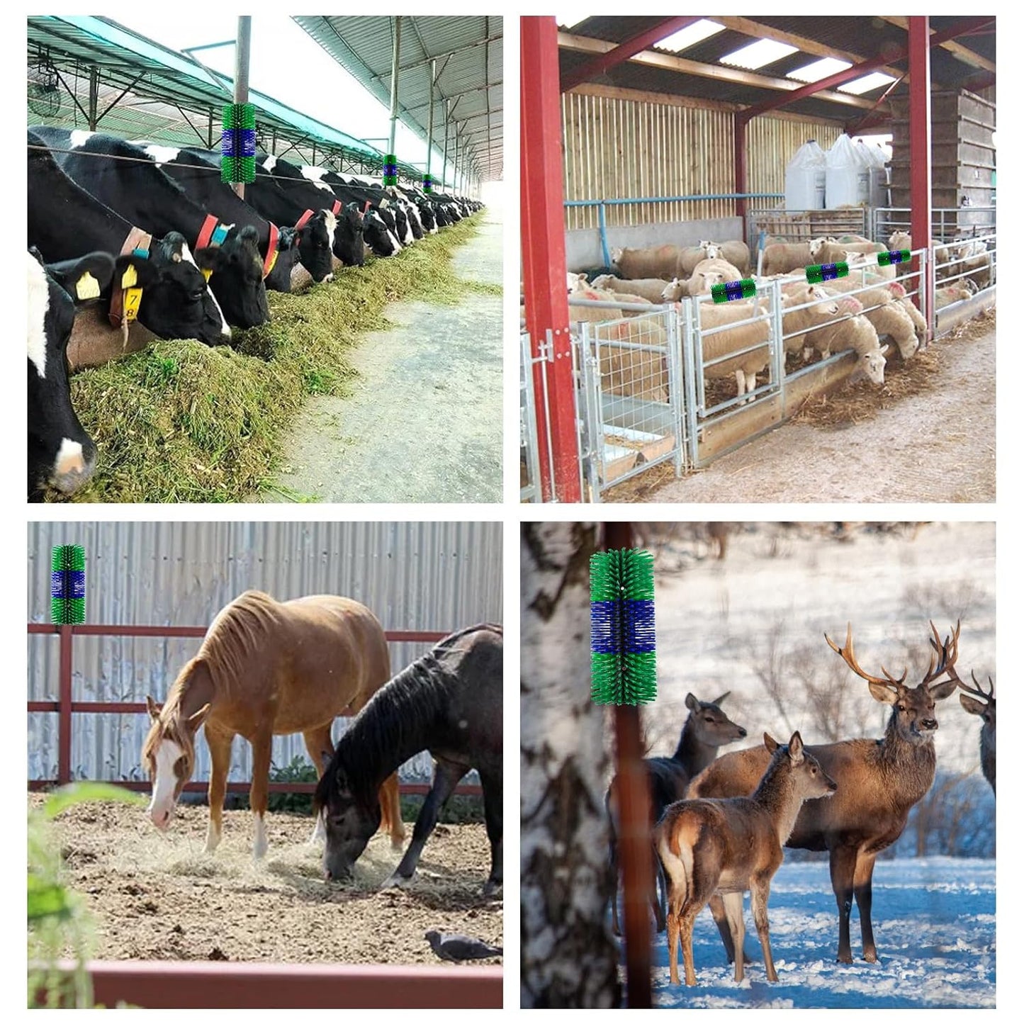 Livestock Scratching Brush, 17.5 x 7.8 Inch Goat Brushes for Grooming, Horse Brushes for Shedding, Livestock Brush with 4 Screws Great for Horse, Elk, Cattle, Pig, Sheep（Green）