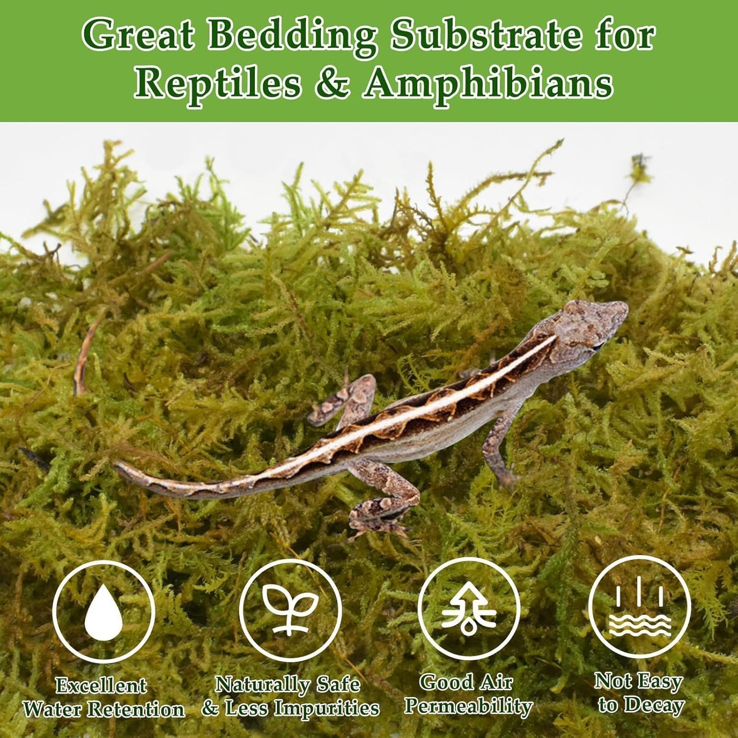 Halatool 9OZ Natural Sphagnum Moss for Reptiles- 14QT Green Live Moss for Terrarium Plants Long Fiber Reptile Moss for Leopard Gecko Snake Hamsters Tortoises Frogs Lizards Salamanders