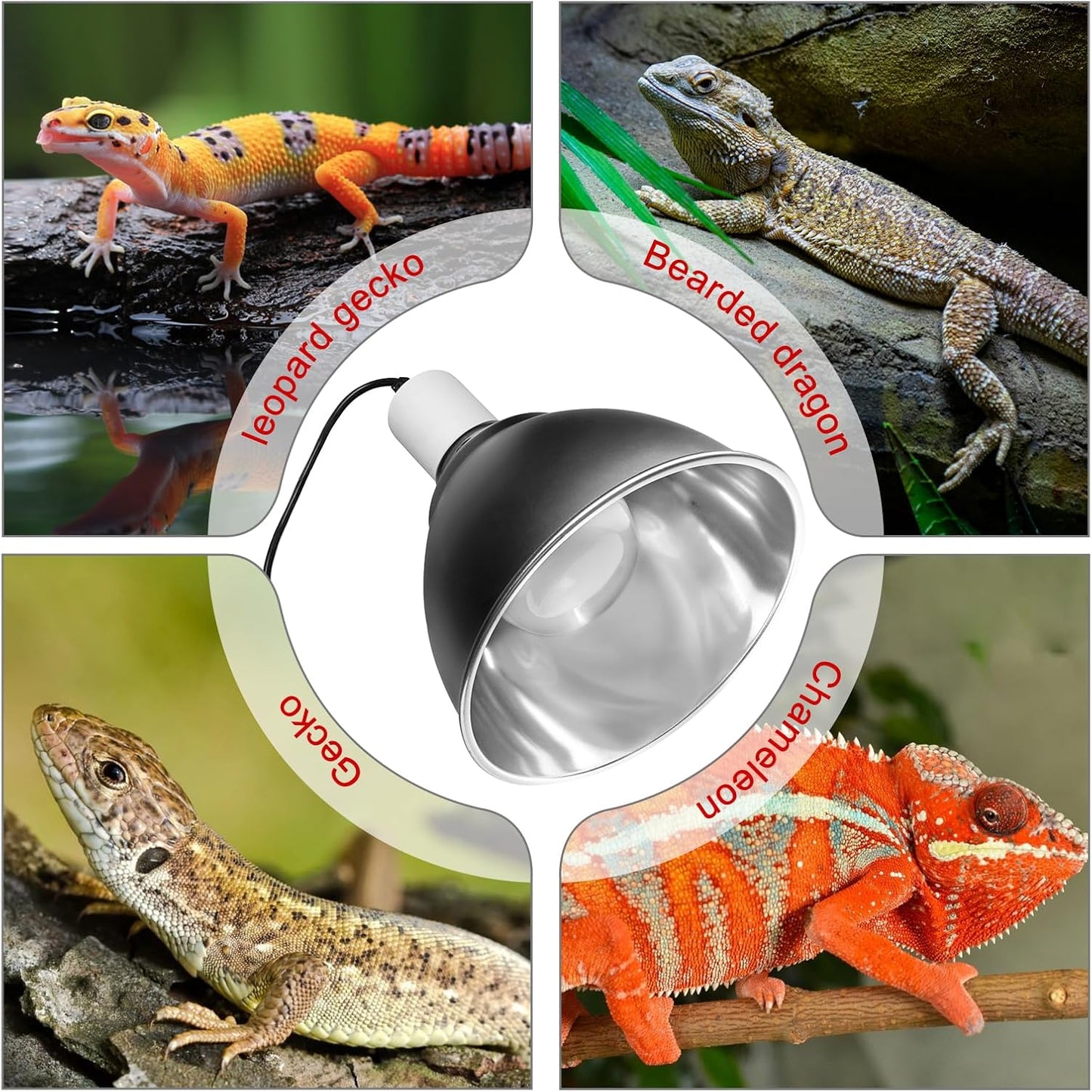 Large Caliber Reptile Lamp Cover Dome Supports Up to 250W, Diameter 7.0 Inch Heat Lamp/Light Fixture Dome Fit for E26 UVA/UVB Basking Bulbs, Perfectly Fit 250 watts Ceramic Heat Lamp