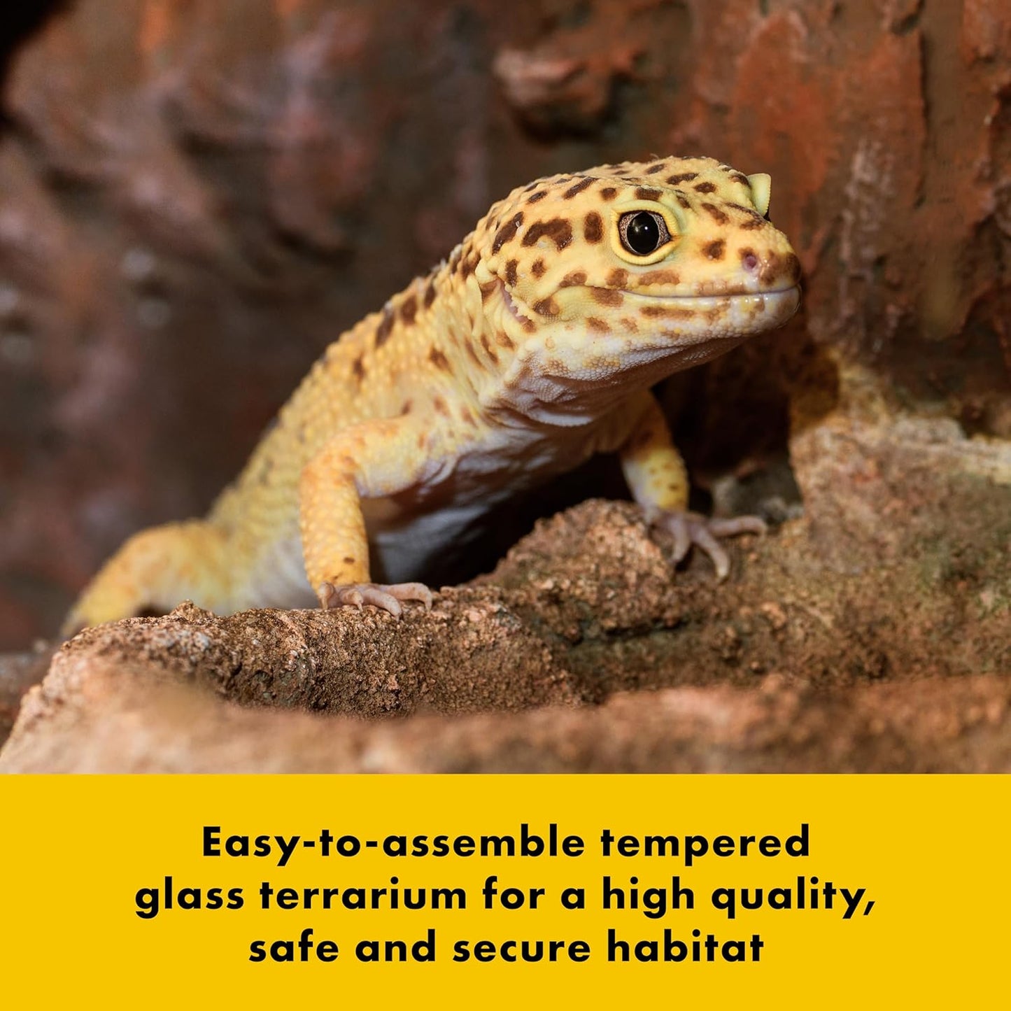 Zilla QuickBuild Reptile 20 Gallon Glass Terrarium Habitat with Bedding Tray For Geckos, Snakes, Lizards, Frogs, Turtles, and Tortoises, 30" x 12" x 12"