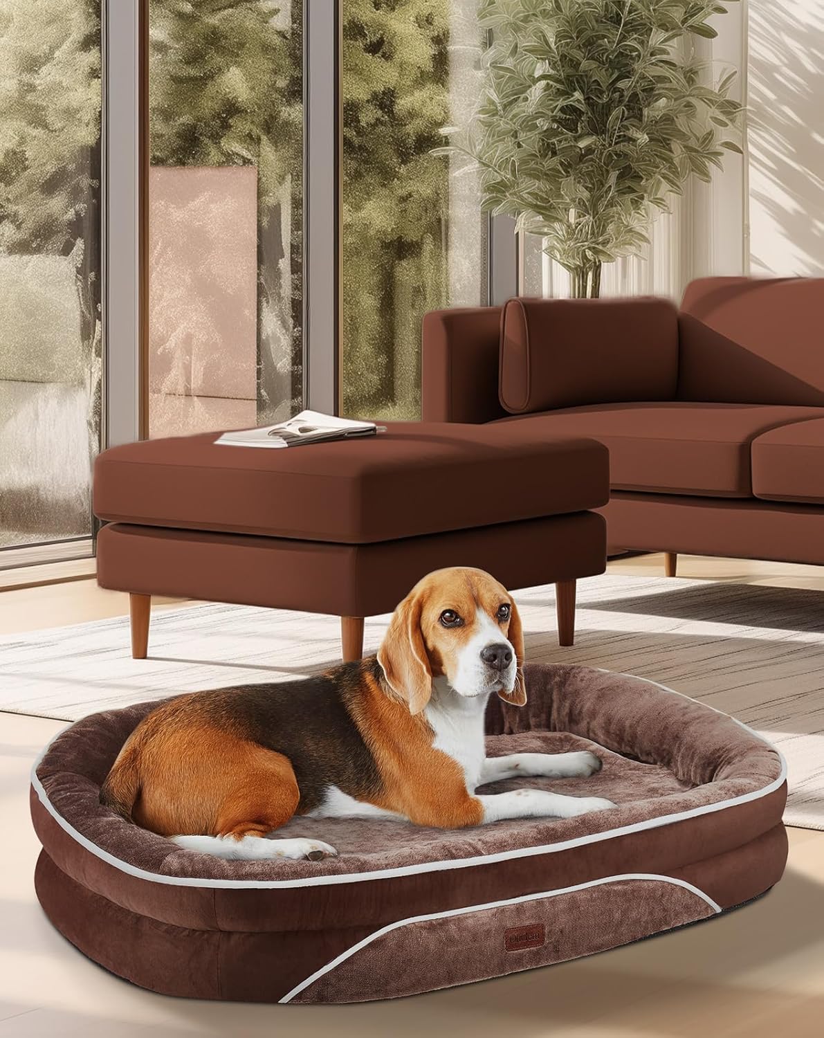 OhGeni Orthopedic Dog Couch Pet Sofa Large Sized Cat Beds with Comfort Foam Support, Soft Comfortable Fabric, Machine Washable Waterproof Removable Cover, 35-Inch (Brown)