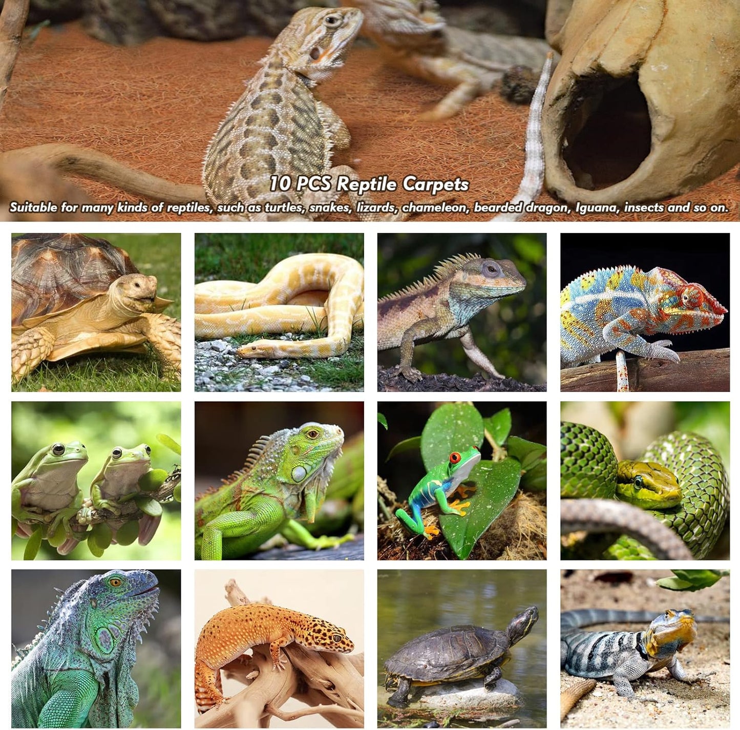 ZeeDix 10 Pieces Coconut Fiber Reptile Substrate Mat, 14 x 14 inches Natural Coco Coir Mat Turtle Bedding Tortoise Carpet Reptile Terrarium Liner for Lizard Snake Turtle Gecko Bearded Dragon