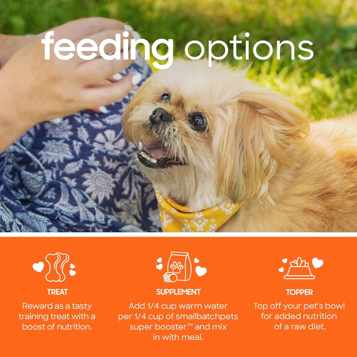 Smallbatch Freeze Dried Dog Treats, Superfood Food Topper Chicken Bites for Dogs & Cats, Probiotics, Organic Ingredients, High Protein, Grain Free Healthy Treat Food Topper, Made in the USA, 18 oz Bag