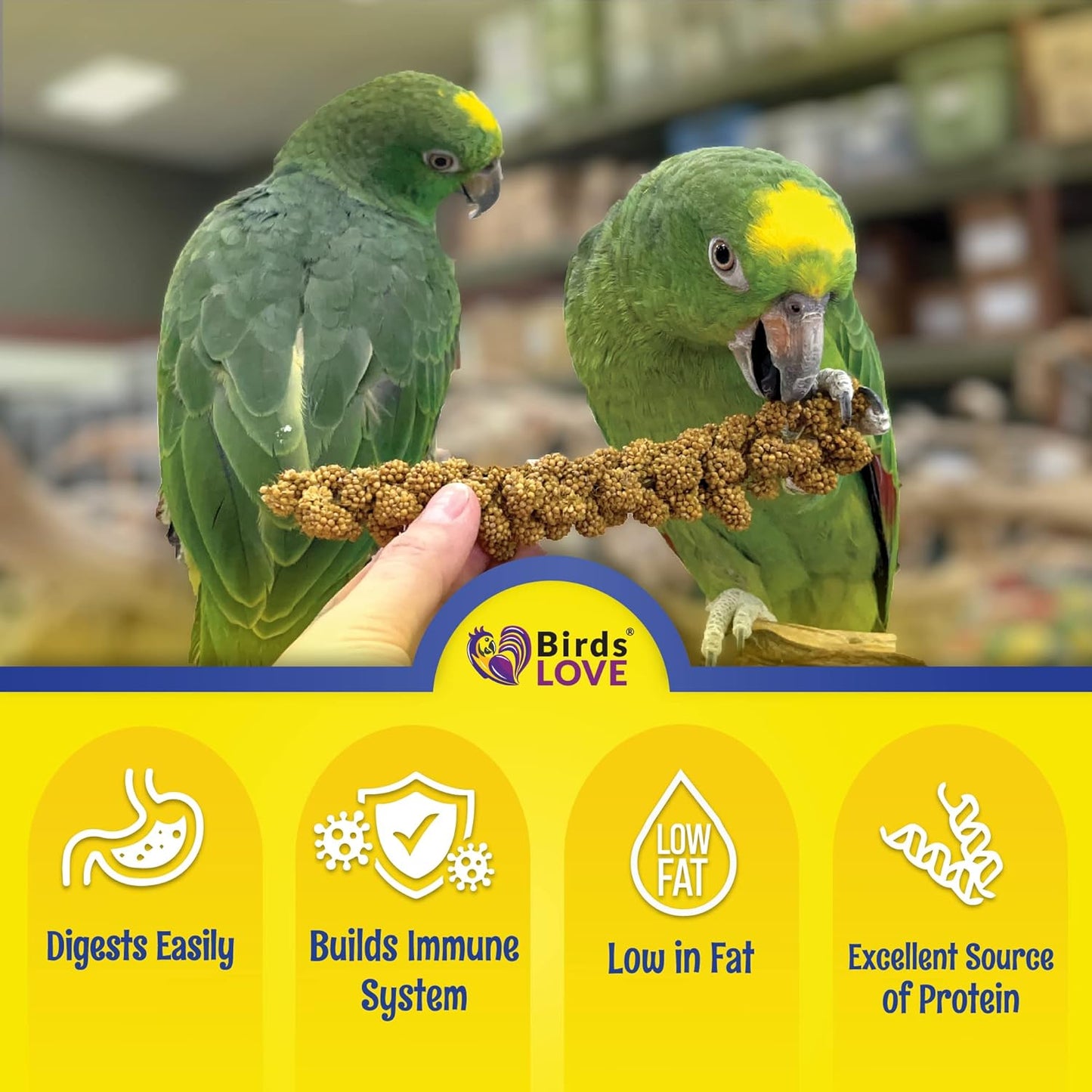 Birds LOVE Economy & Thin Special Spray Millet – 5 lb GMO-Free, No Stems (Only Edible Tops) – Healthy Treat for Cockatiels, Lovebirds, Parakeets, Finches & Canaries