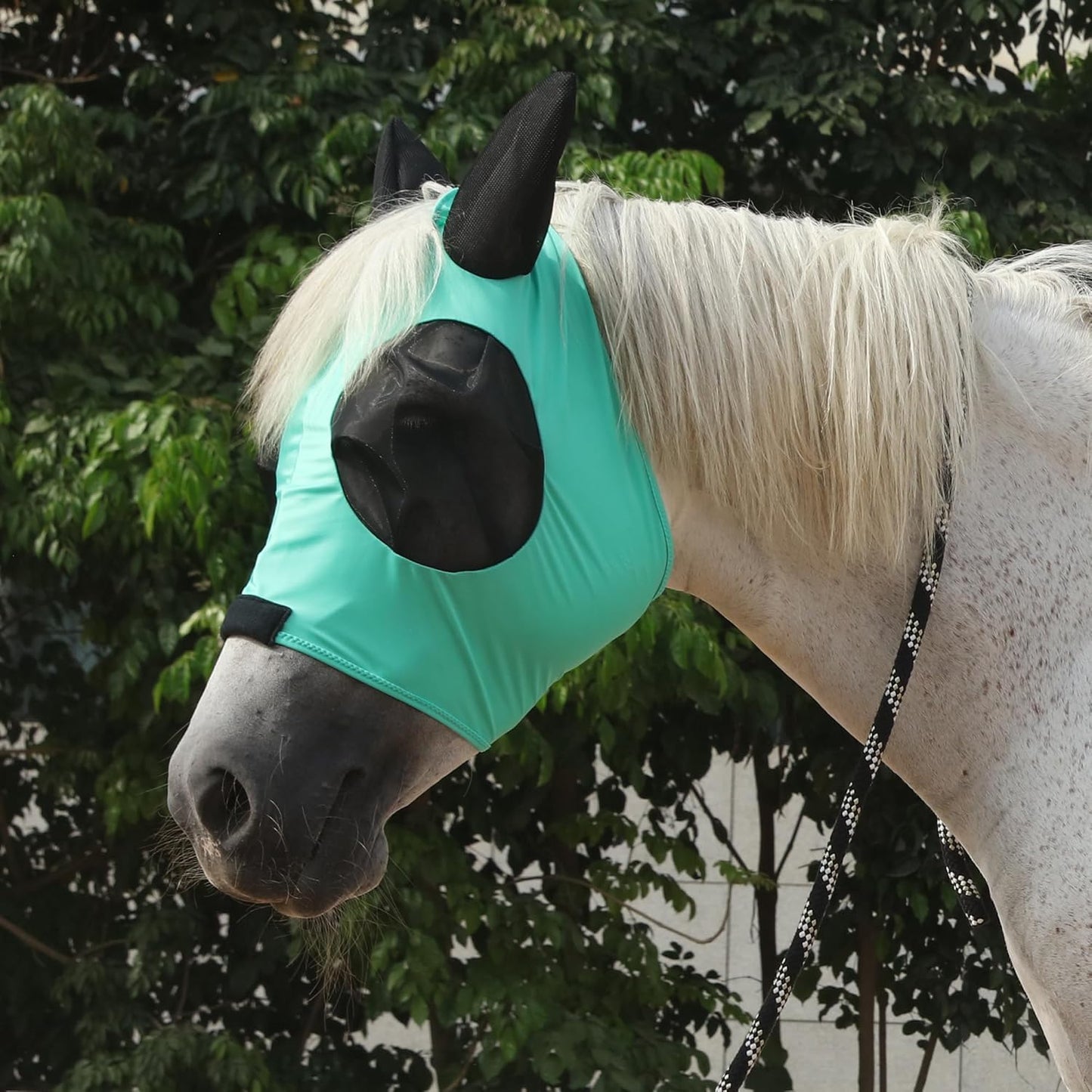 Horse Fly Mask with Ears - Large Eye Space for Full Vision, Breathable Stretch Comfort Fit, UV Protection, Forelock Opening, Easy Pull-On Green Cob