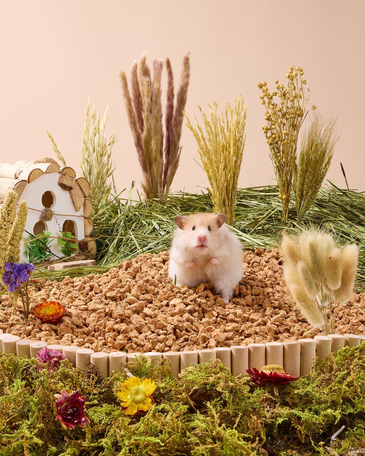 BUCATSTATE Natural Hamster Bedding - Flowers & Herbs & Sprays for Cage Habitat Decor - Treat Cereal Grain for Dwarf Syrian Gerbils, Mice, Rat, Forage, Enrichment (54PCS)