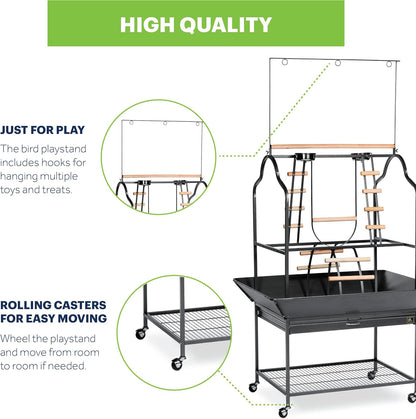 Prevue Pet Products Large Parrot Playstand with Wheels, Bird Stand Activity Play Center with Perches and Ladders, Indoor Outdoor Playground for Birds, Black Hammertone Finish