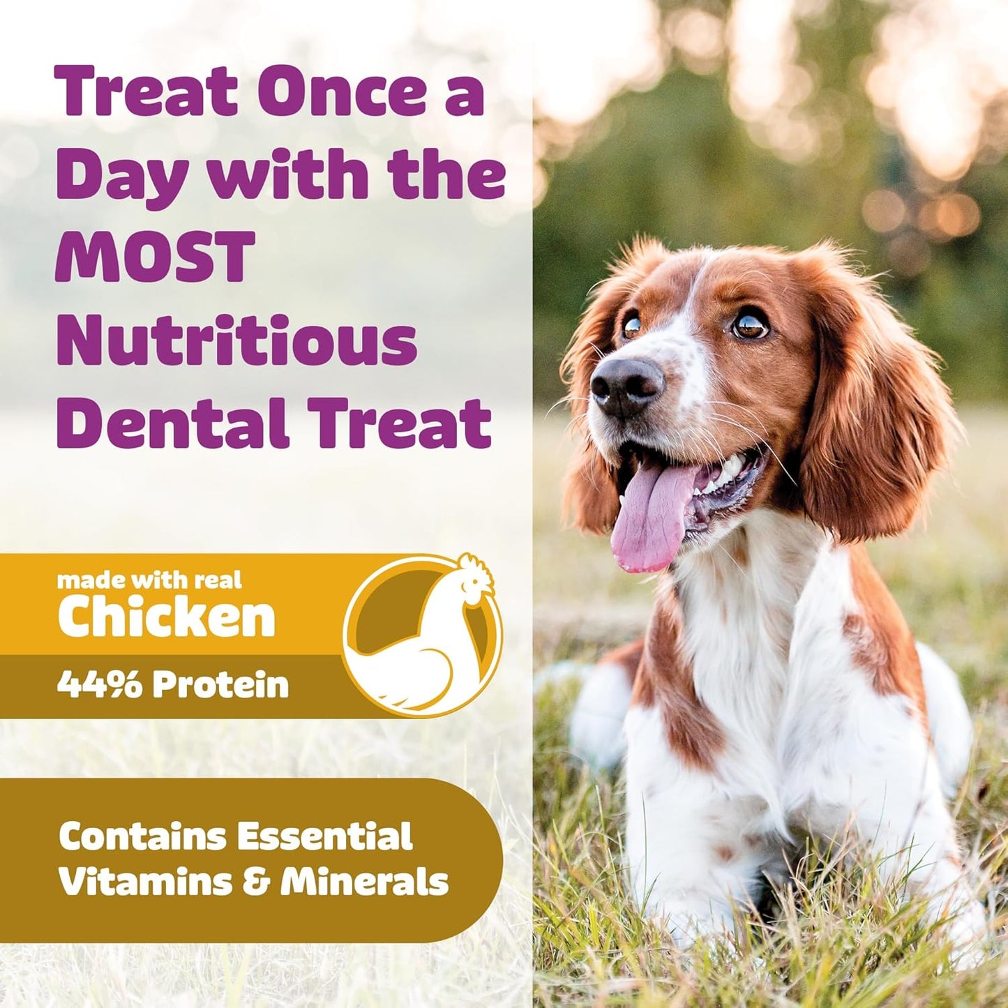 Dog Dental Treats – Vet VOHC Approved – Delicious Chicken Protein – Removes Tartar with Cleaning Comb Shape – Dental Dog Treats for Large Dogs (24oz, 18 Count)