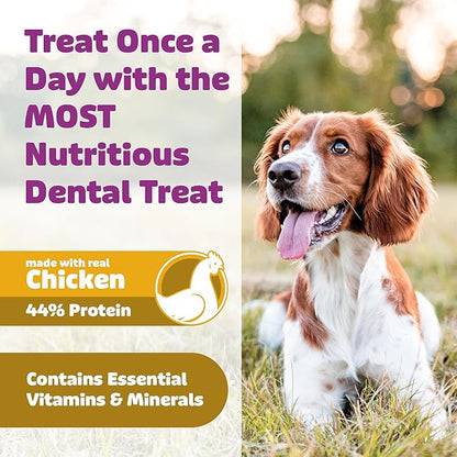 Yummy Combs Dog Dental Treats – Vet VOHC Approved, Removes Tartar & Cleans Teeth – Yummy High Protein Chicken Treat for Extra Small Dogs (Mini Pack, 30 Count)