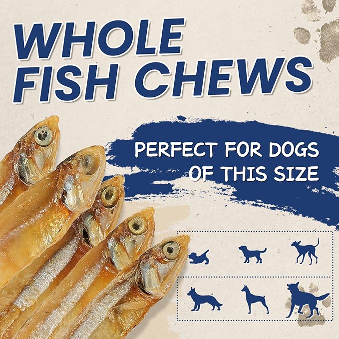 PAWUP Whole Fish Treats for Dogs, Air Dried -100% Wild-Caught Fish Treat, Only Two Ingredient, High in Protein and Omega-3, 8oz