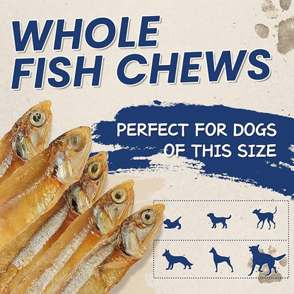 PAWUP Whole Fish Treats for Dogs, Air Dried -100% Wild-Caught Fish Treat, Only Two Ingredient, High in Protein and Omega-3, 8oz