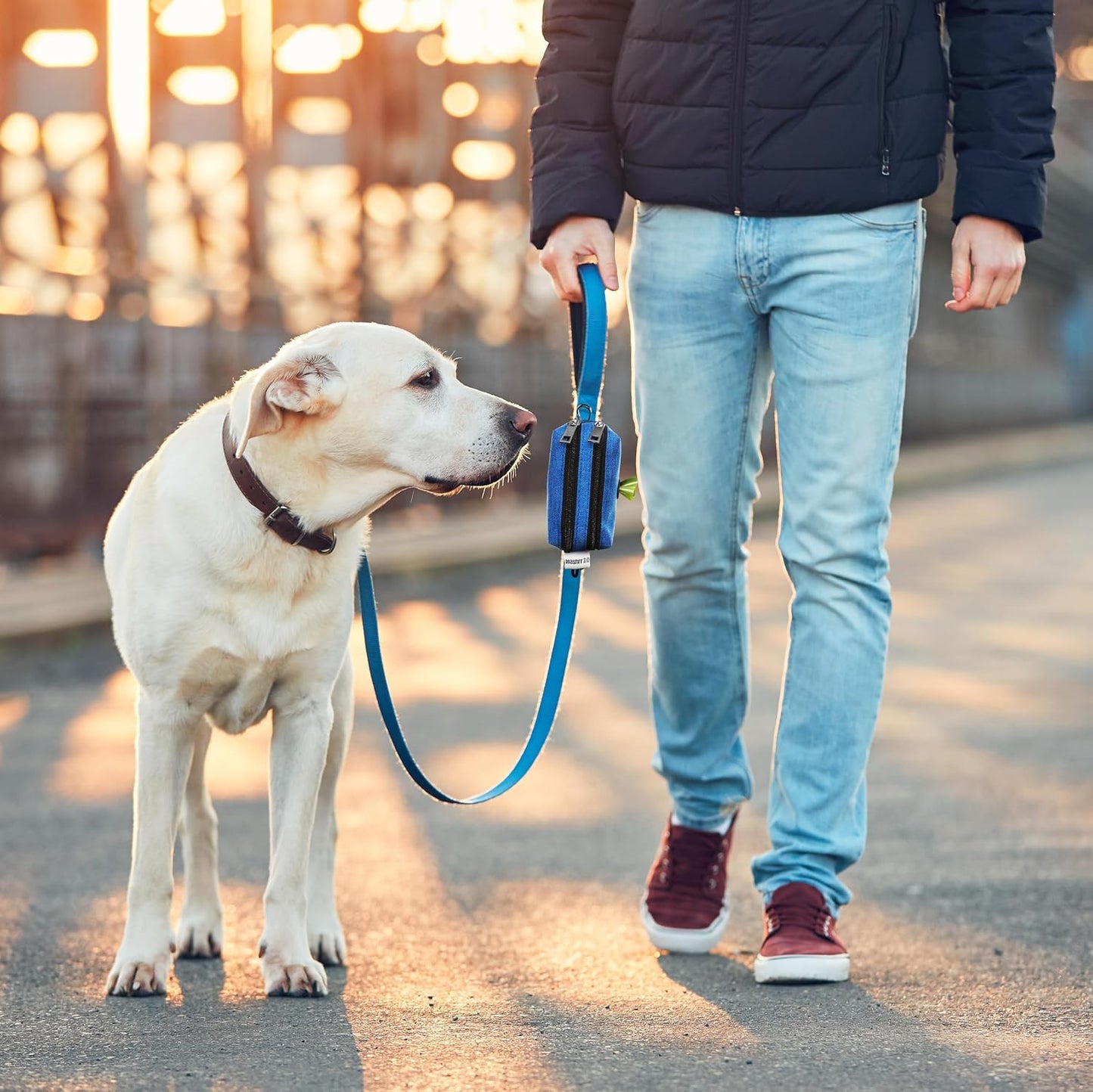 Dog Poop Bag Holder for Leashes - Dog Poop Bag Dispenser and Treat Holder with 2 Waterproof Pouches for Pet Waste Bags and Walking Accessories + 1 Free Roll (Purple)
