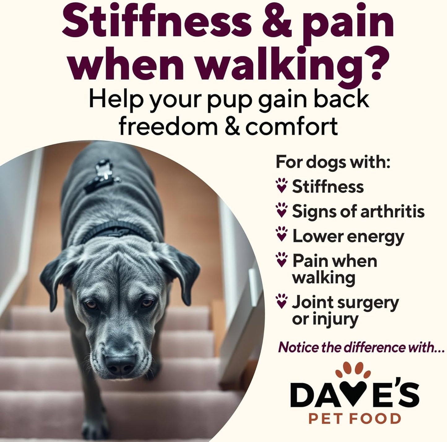 Dave's Pet Food Glucosamine Chondroitin for Dogs, Hip and Joint Support, Gluten-Free, Wet Senior Dog Food, 13.2 oz (Case of 12)