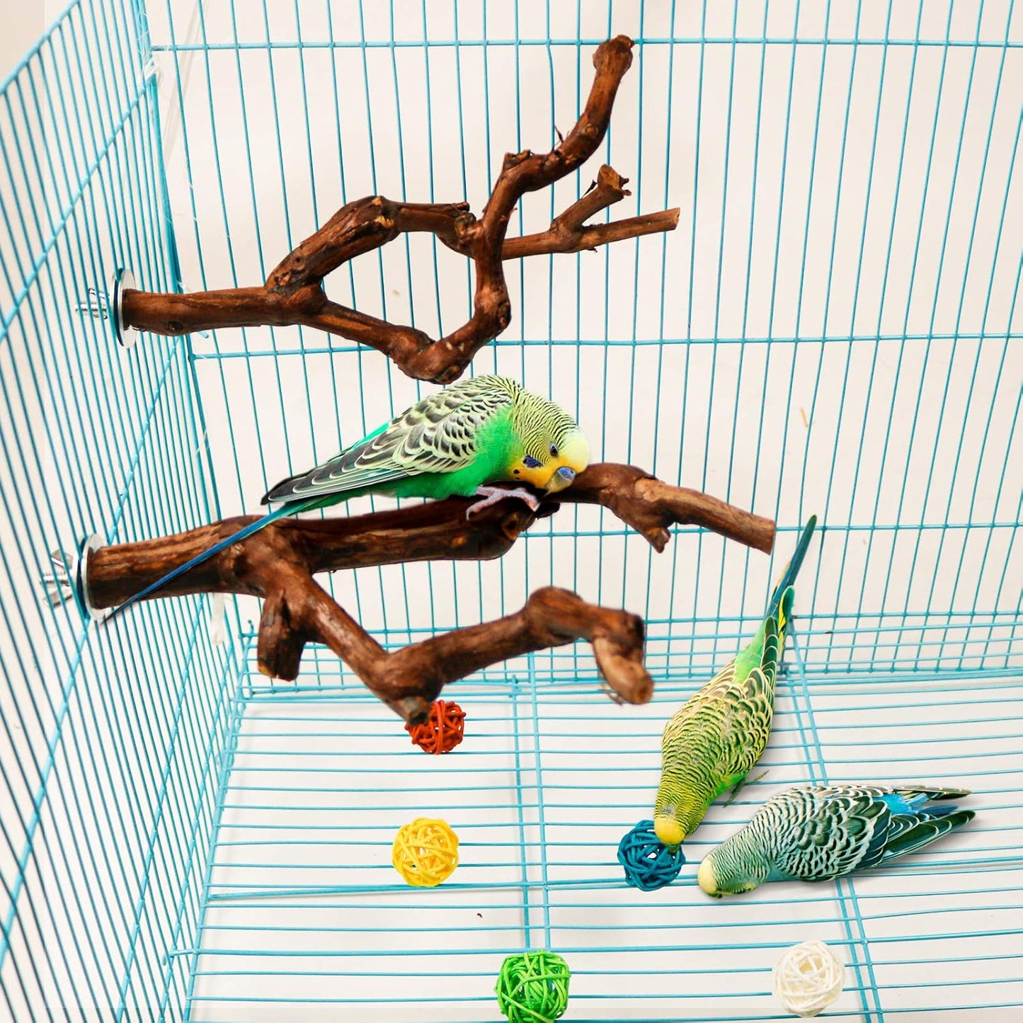 2 Packs Parrot Bird Perches,Natural Wild Grape Stick Grinding Paw Climbing Standing Cage Accessories Toy for 3-4 Parakeets, Budgies, Lovebirds,Cockatiels (Style-1)