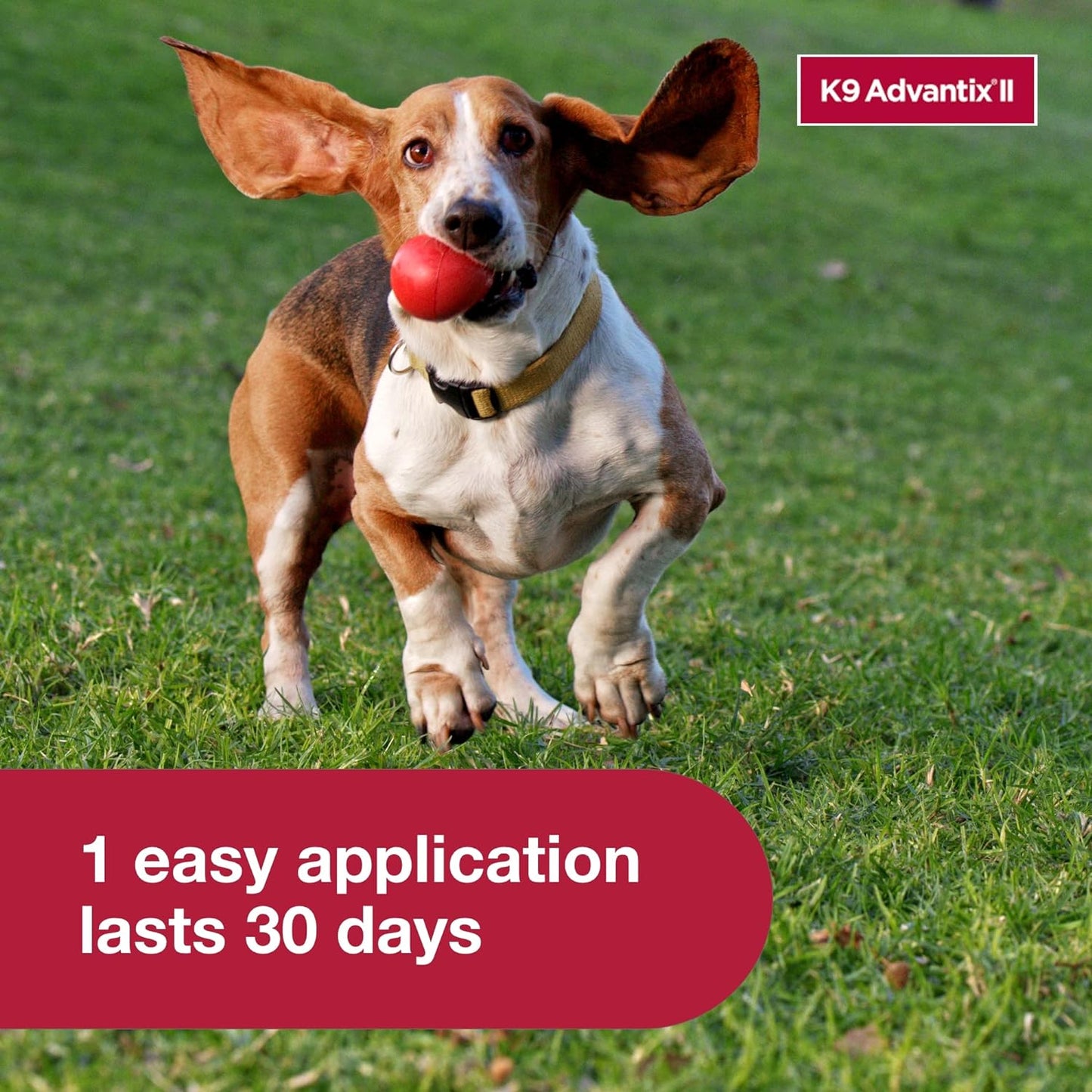 K9 Advantix II Small Dog Vet-Recommended Flea, Tick & Mosquito Treatment & Prevention | Dogs 4-10 lbs. | 2-Mo Supply