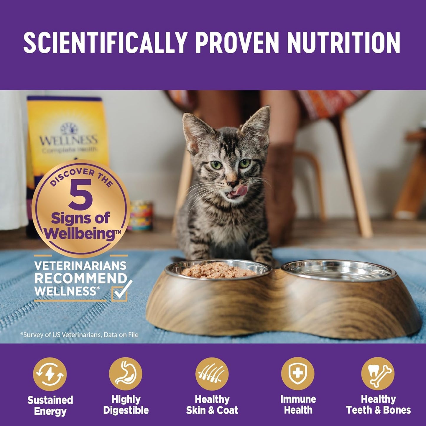 Wellness Complete Health Cubed Adult Wet Cat Food, Natural, Protein-Rich, Grain Free, 3 Ounce, 24 Pack, (Tuna Entrée)