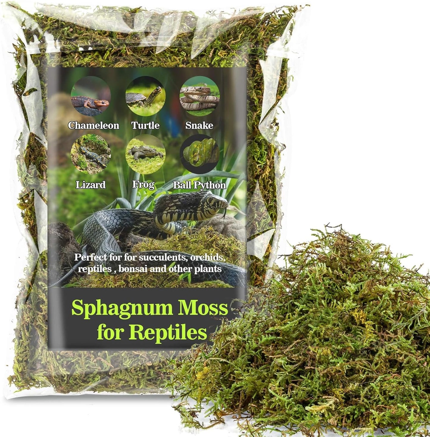 Sukh Sphagnum Moss for Reptiles -Terrarium Moss for Reptiles Peat Moss for Reptiles Habitat Bedding Moss for Snakes Turtle Frog Gecko and Other Reptiles Substrate (15.8, Ounces)