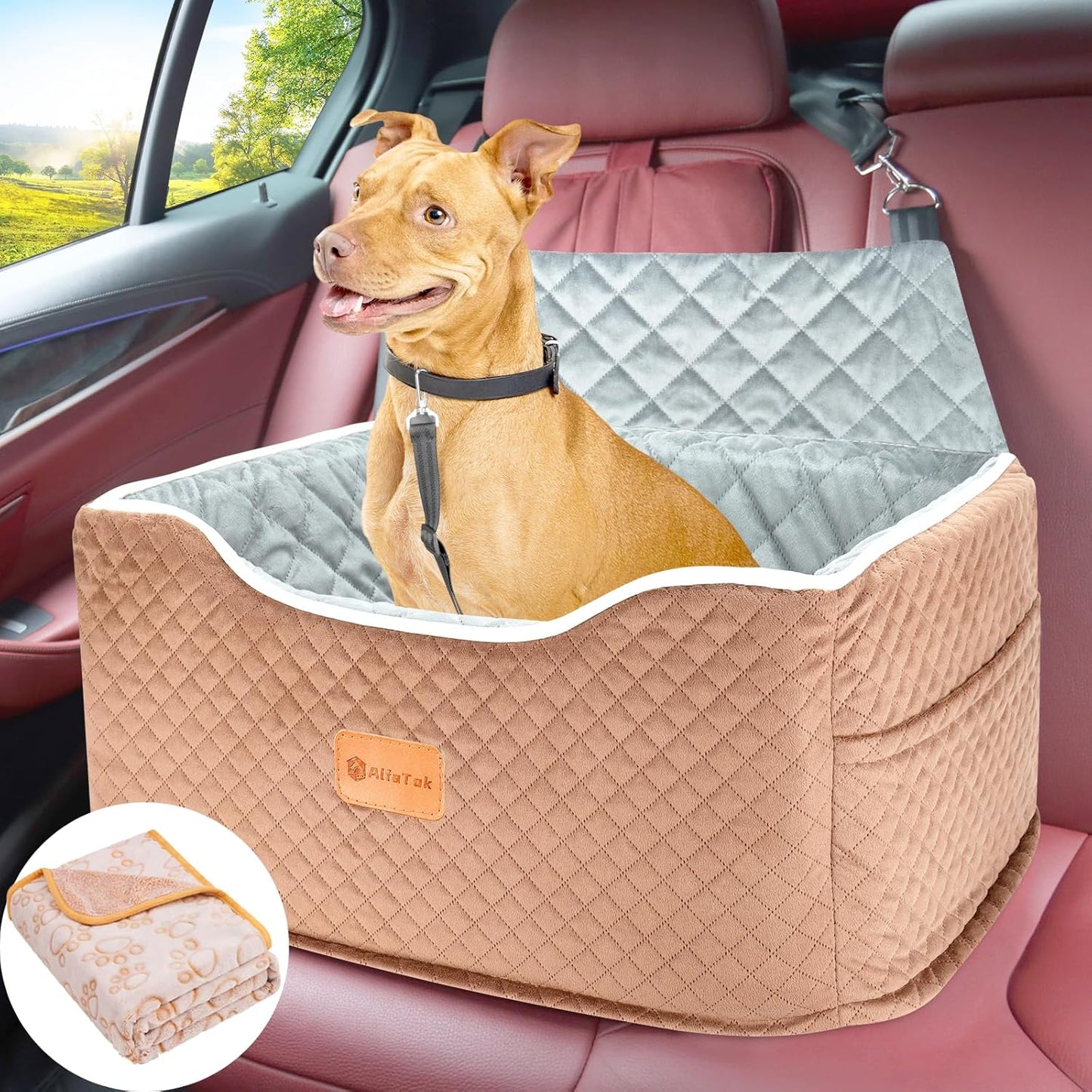 Memory Foam Booster Dog Car Seat Medium Dogs, Elevated Pet Car Seat Under 45 LBS, Detachable Washable, Anti-Slip Dog Booster Seat for Car Back Seat Only, Travel Dog Car Bed, Dog Seat Belt
