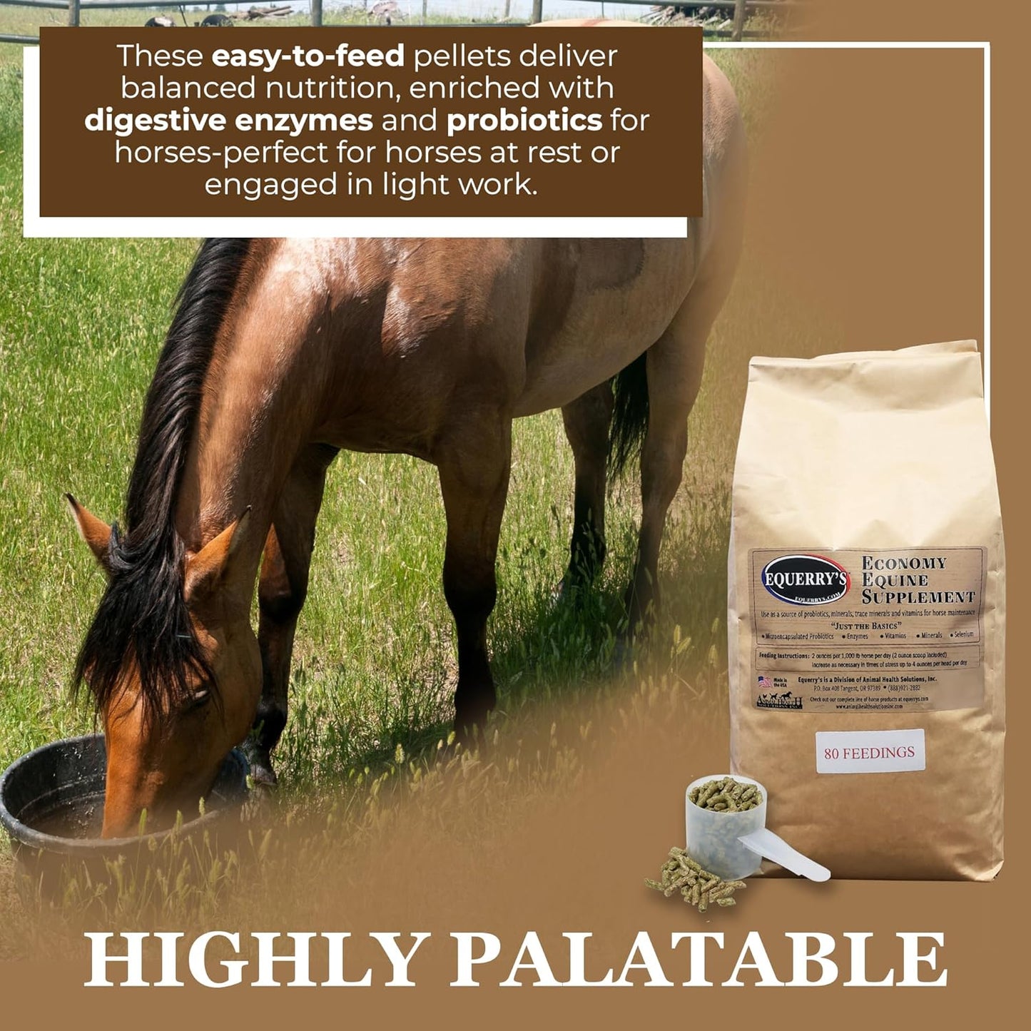 Equerry's Economy Equine Supplement - Horse Probiotics | Supplement for Horses | Horse Vitamins and Minerals Supplement with Enzymes and Selenium, 10lb